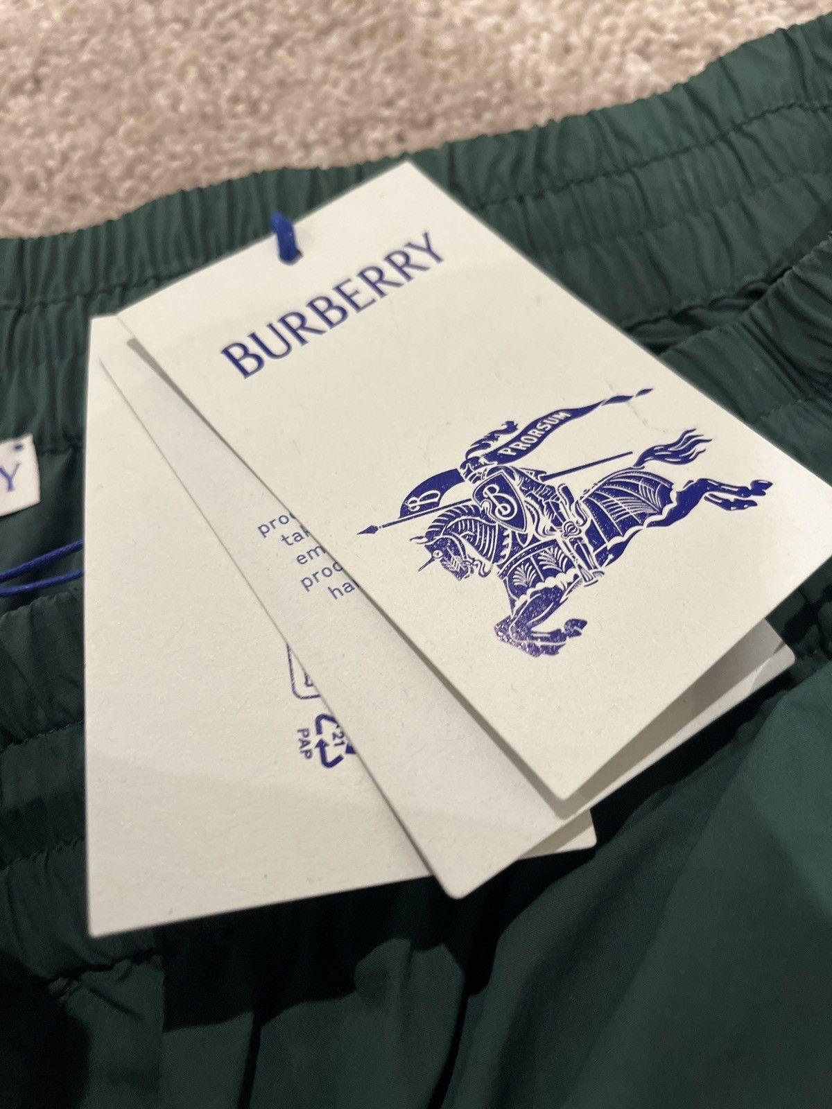Burberry Burberry Nylon Cargos Size US 34 / EU 50 - 1 Thumbnail