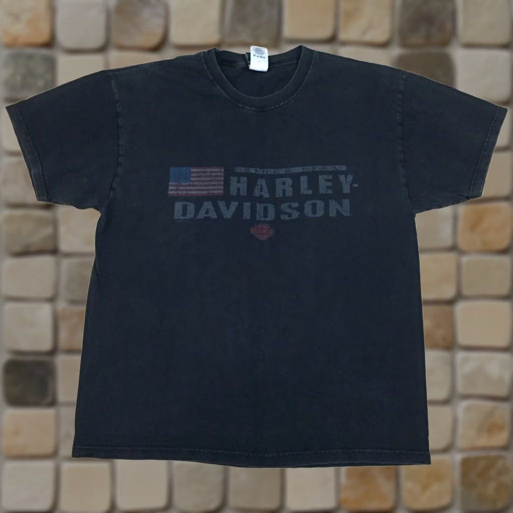 90's HARLEY DAVIDSON ブラックパンサー Tシャツ Kanye Harley Davidson Harley-Davidson Can't Chain the Power Panther