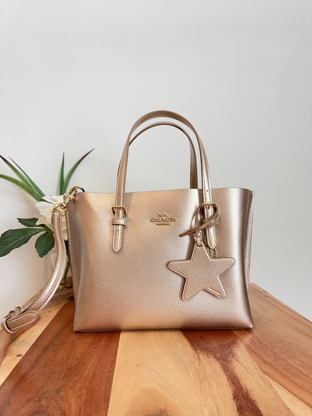 Coach NWT Coach Mollie Tote Bag 25 Size ONE SIZE - 2 Thumbnail