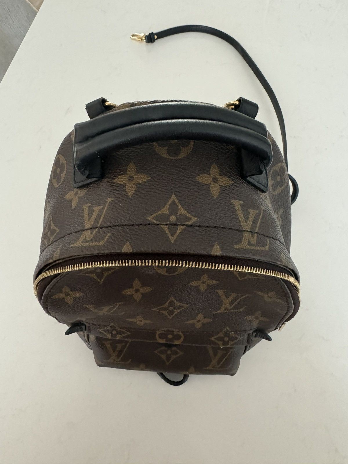 Louis Vuitton Palm Springs Mini M44873 Size ONE SIZE - 6 Thumbnail