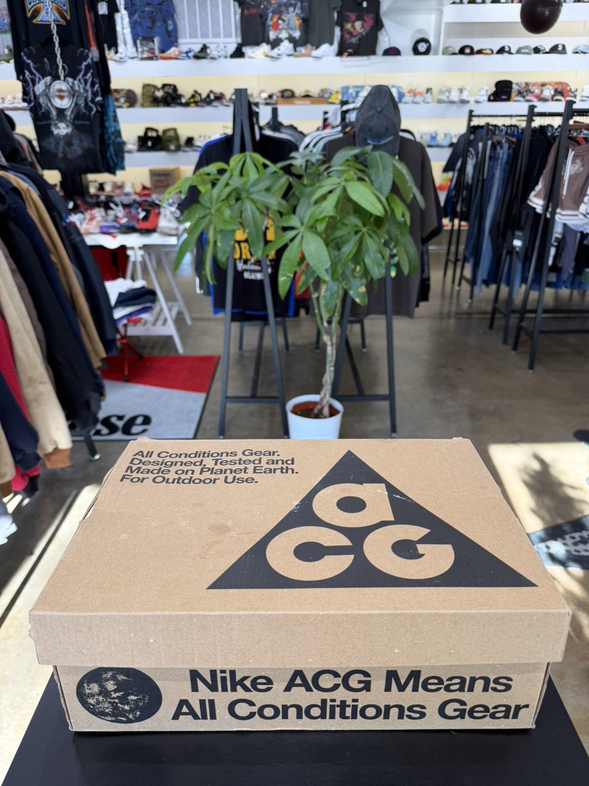 Nike Nike ACG Lowcate Bacon Size 9 Size US 9 / EU 42 - 14 Thumbnail