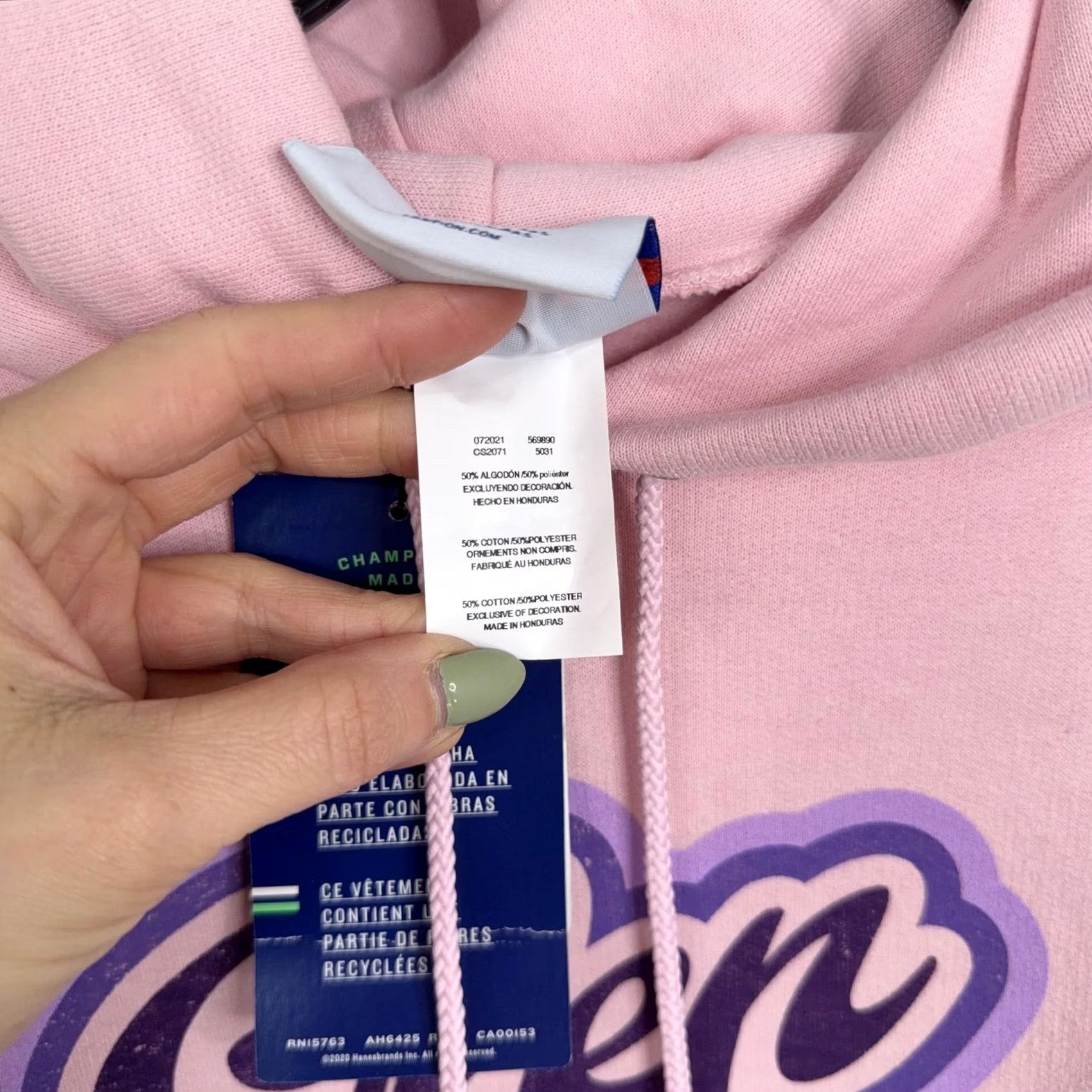 Champion Champion Hoodie Adult Large Pink Pullover Fleece Sweatshirt Glen Arbor Graphic Mens Size US L / EU 52-54 / 3 - 5 Thumbnail