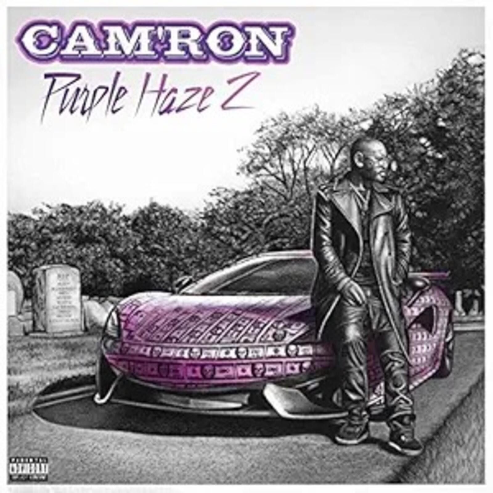 Other Cam'ron Purple Haze 2 Vinyl LP Size ONE SIZE - 1 Thumbnail