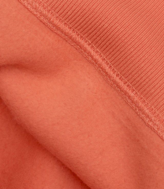 Champion Champion Reverse Weave Classic Hoody Size US L / EU 52-54 / 3 - 5 Thumbnail