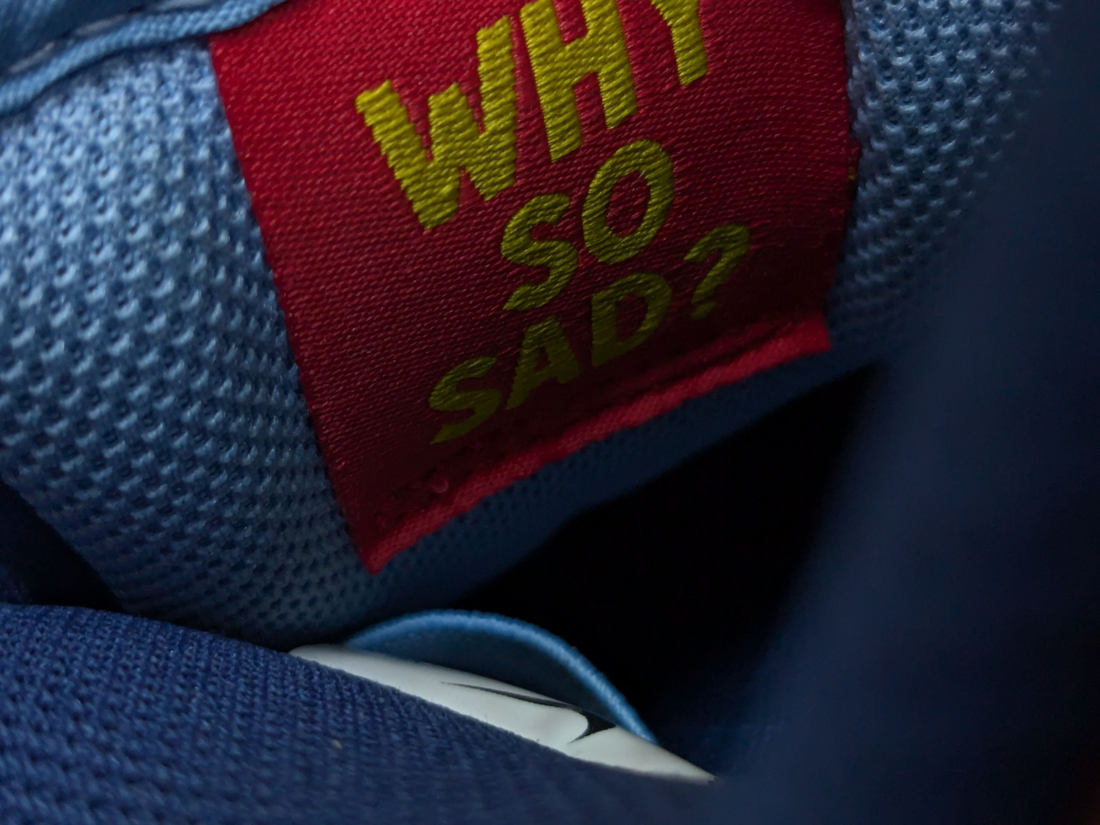 Nike Nike SB Dunk Low Pro Why So Sad? Blue Suede DX5549-400 Size US 8 / EU 41 - 8 Thumbnail