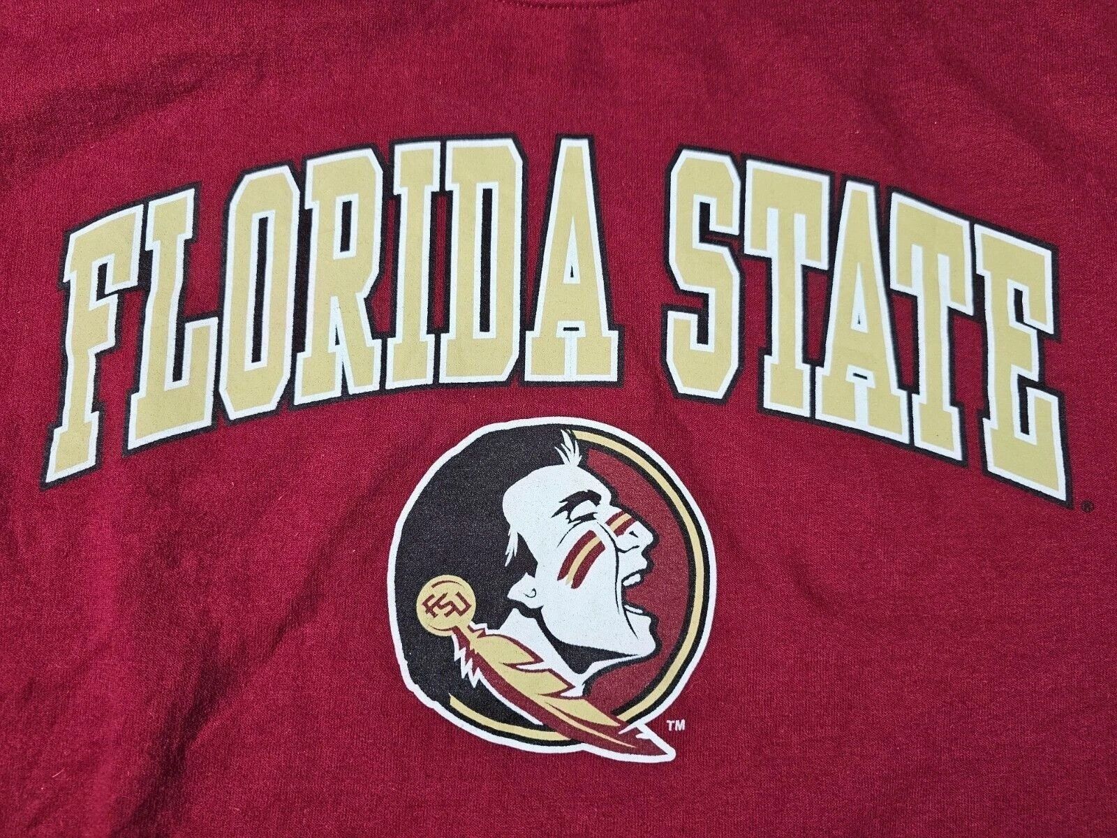 Gildan Florida State Seminoles FSU NCAA Crewneck Sweatshirt S Size US S / EU 44-46 / 1 - 3 Thumbnail