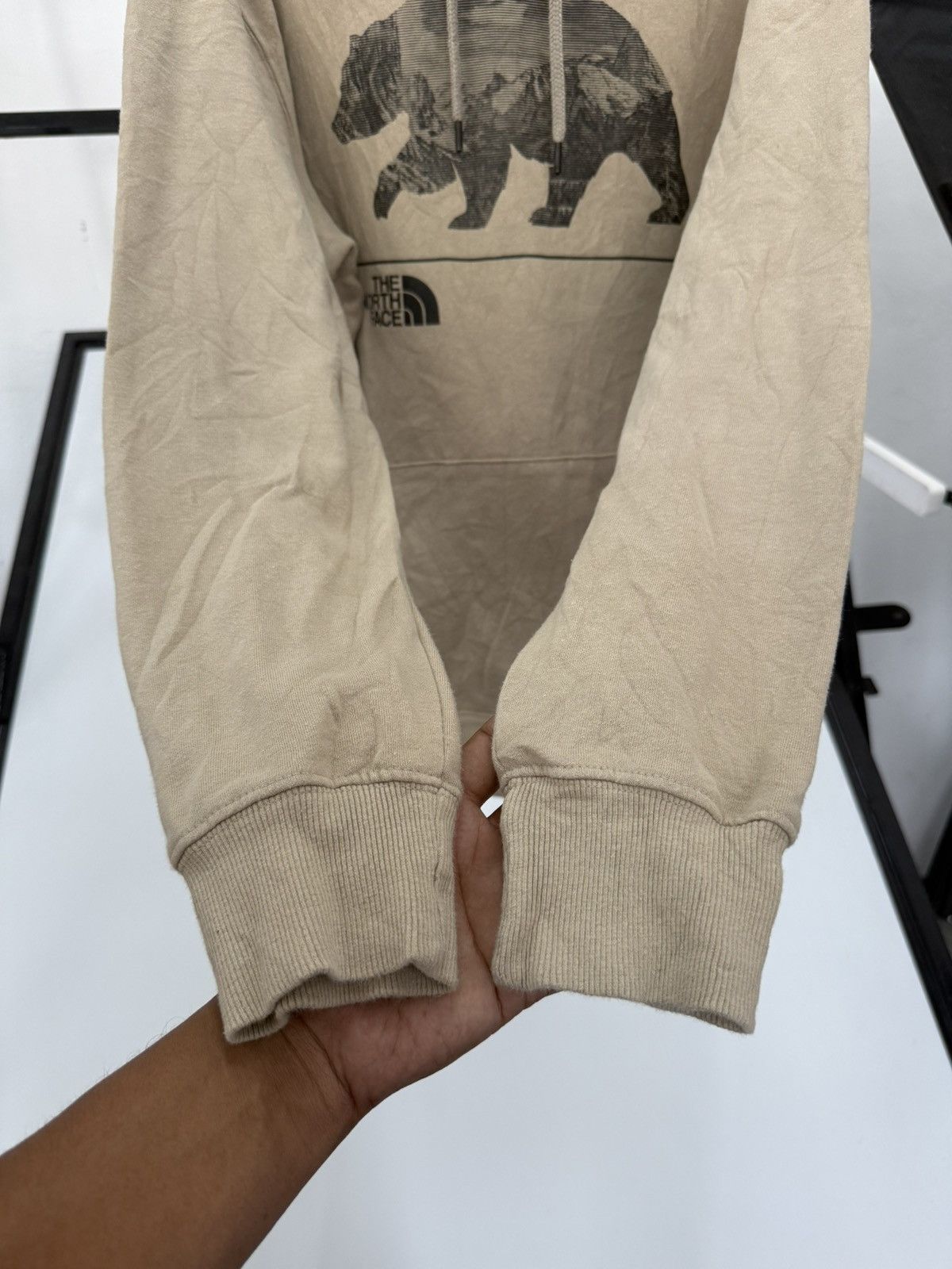 The North Face 🔥 The North Face Hoodie Bear Outdoors Hike Trek Adventure Size US M / EU 48-50 / 2 - 5 Thumbnail