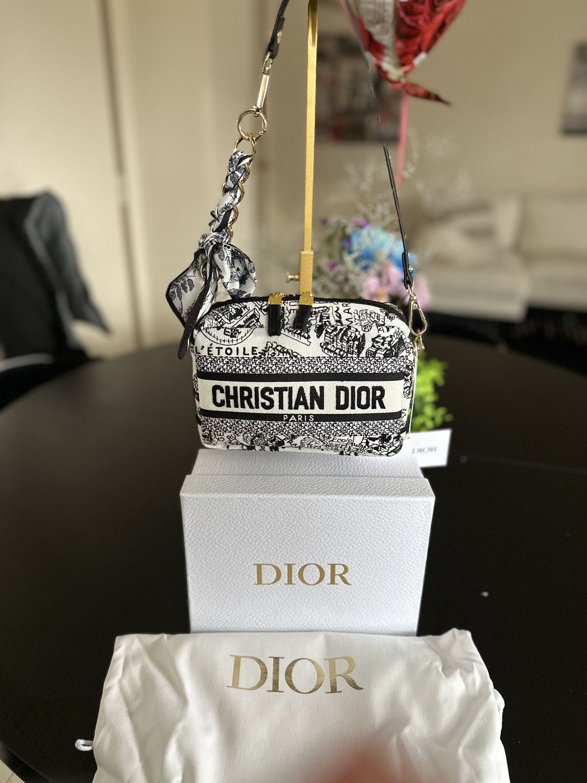 CHRISTIAN DIOR Plan de Paris Canvas Embroidered Cosmetic Bag