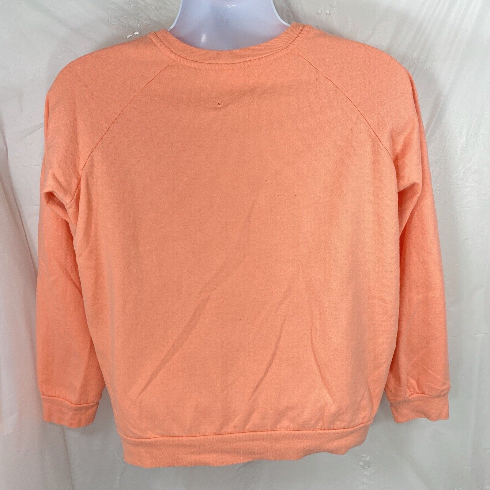 Disney Disney Frozen Anna Elsa Crewneck Fleece Pullover Sweatshirt Size L / US 10 / IT 46 - 6 Thumbnail