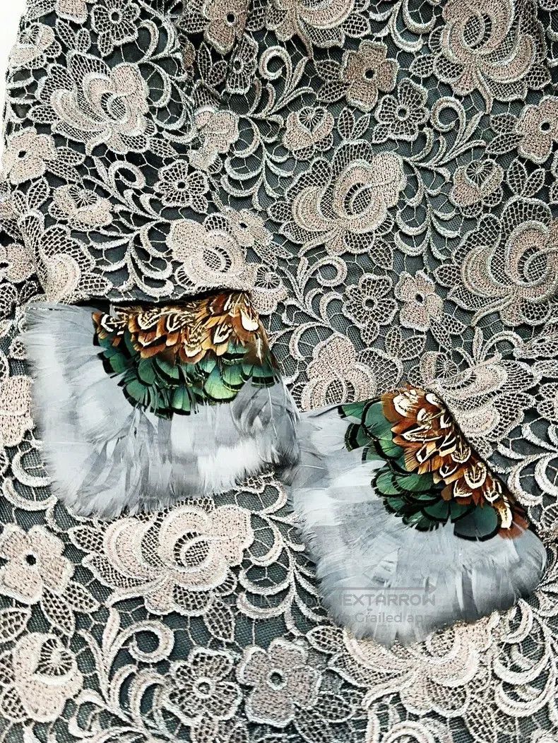 Other Valentino Coffee-coloured lace patched with feather collar Size M / US 6-8 / IT 42-44 - 4 Thumbnail