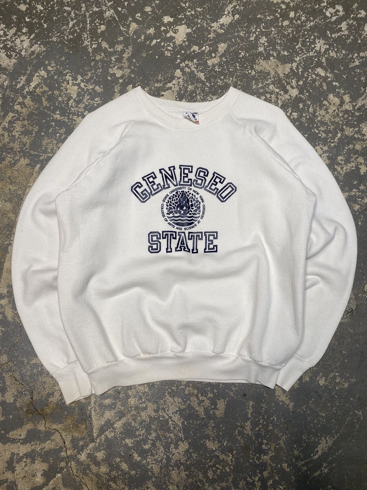 Vintage 90s State popular University Of New York College Of Arts And Science At GENESEO crewneck Sweatshirt Medium size