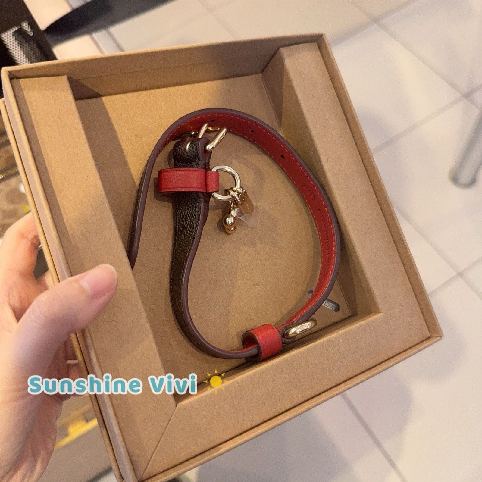 Coach NWT Coach Boxed Small Pet Collar CX158 Gold/Walnut/Bold Red Size ONE SIZE - 1 Thumbnail