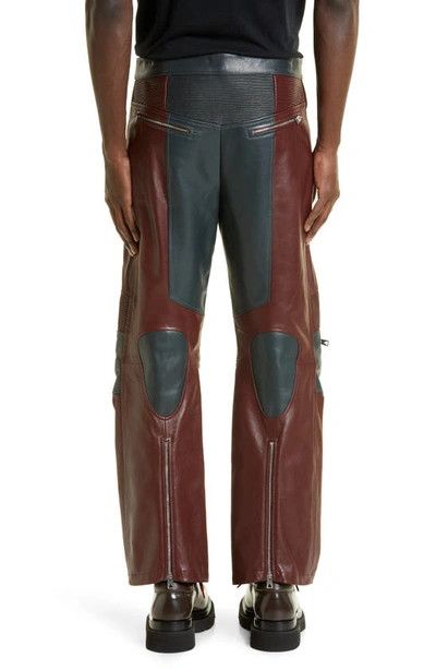 Bottega Veneta o1n1vont1224 Leather Biker Pants in Merlot / Graphite Size US 32 / EU 48 - 3 Thumbnail