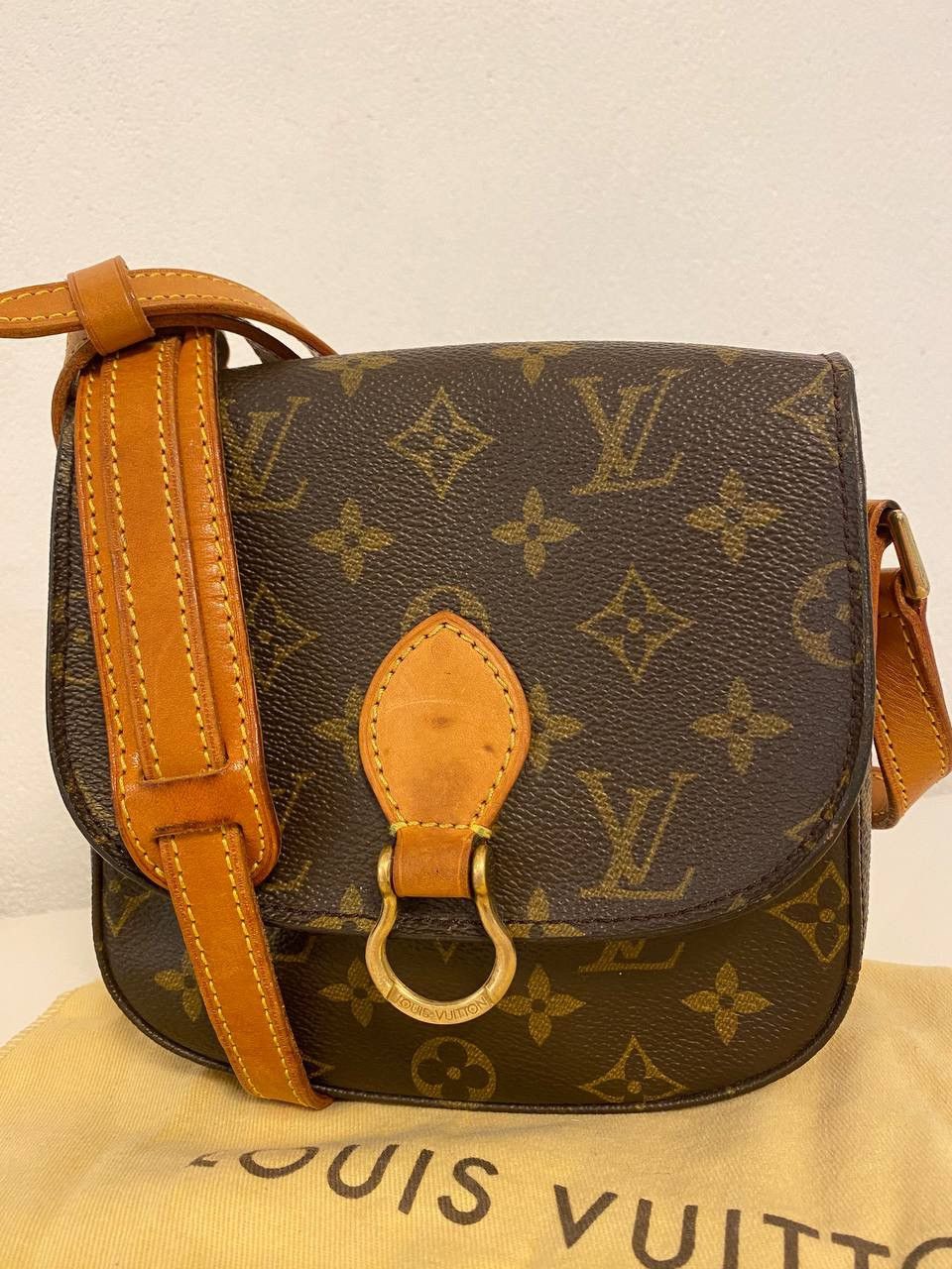 Louis Vuitton Louis Vuitton Saint Cloud Mini Monogram bag brown Leather Size ONE SIZE - 1 Thumbnail