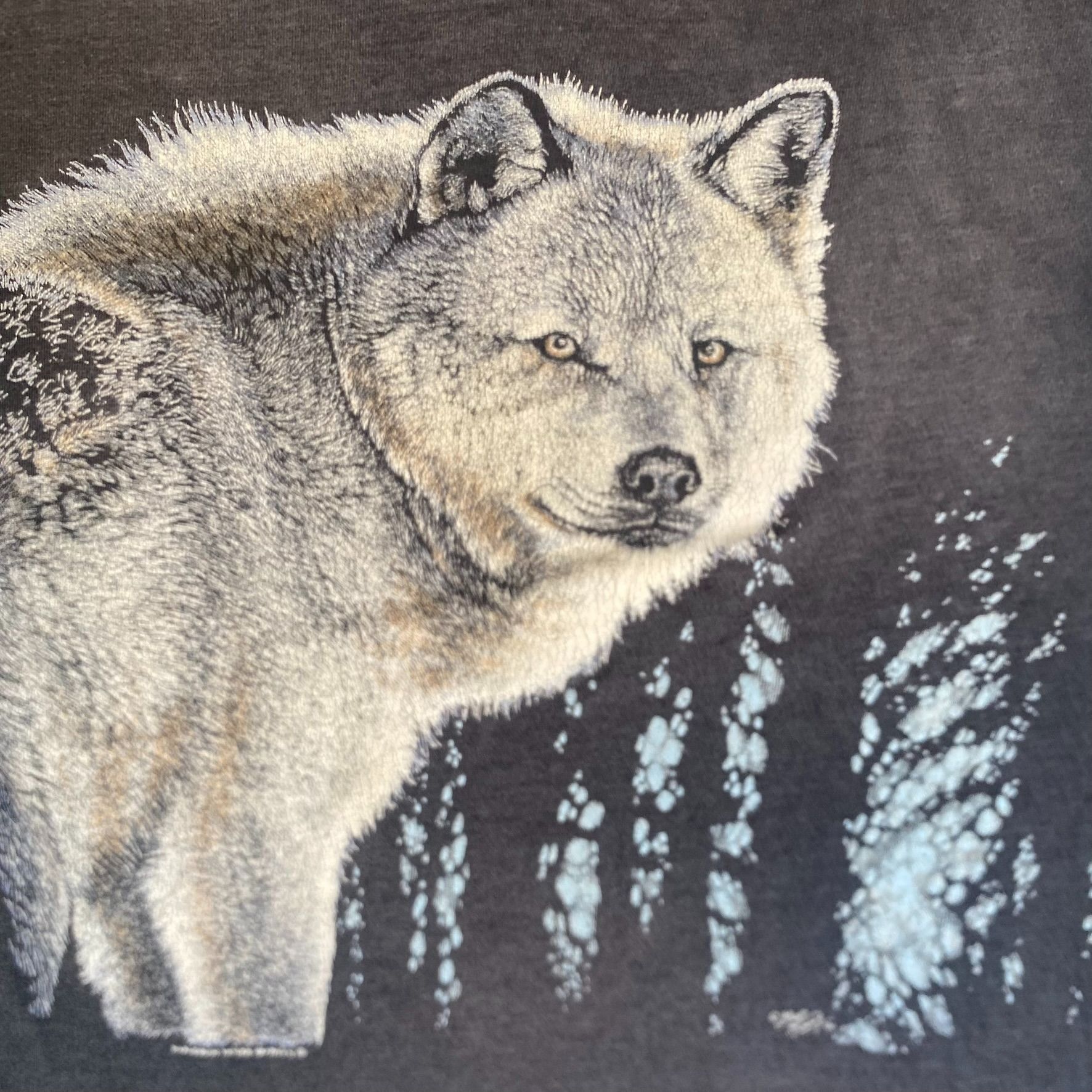 Vintage Vintage 90s Wolf Animal Shirt Western Nature Sun Faded Tee Size US S / EU 44-46 / 1 - 3 Thumbnail