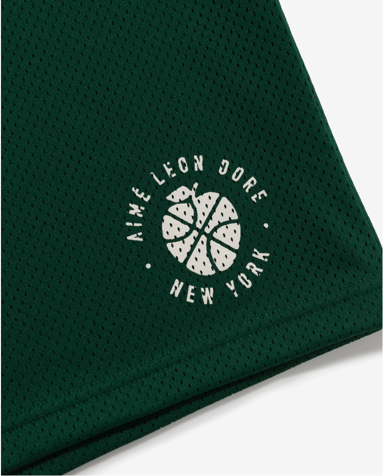 Aime Leon Dore × New Balance ALD / New Balance SONNY NY Gym Short S Size US 30 / EU 46 - 2 Thumbnail