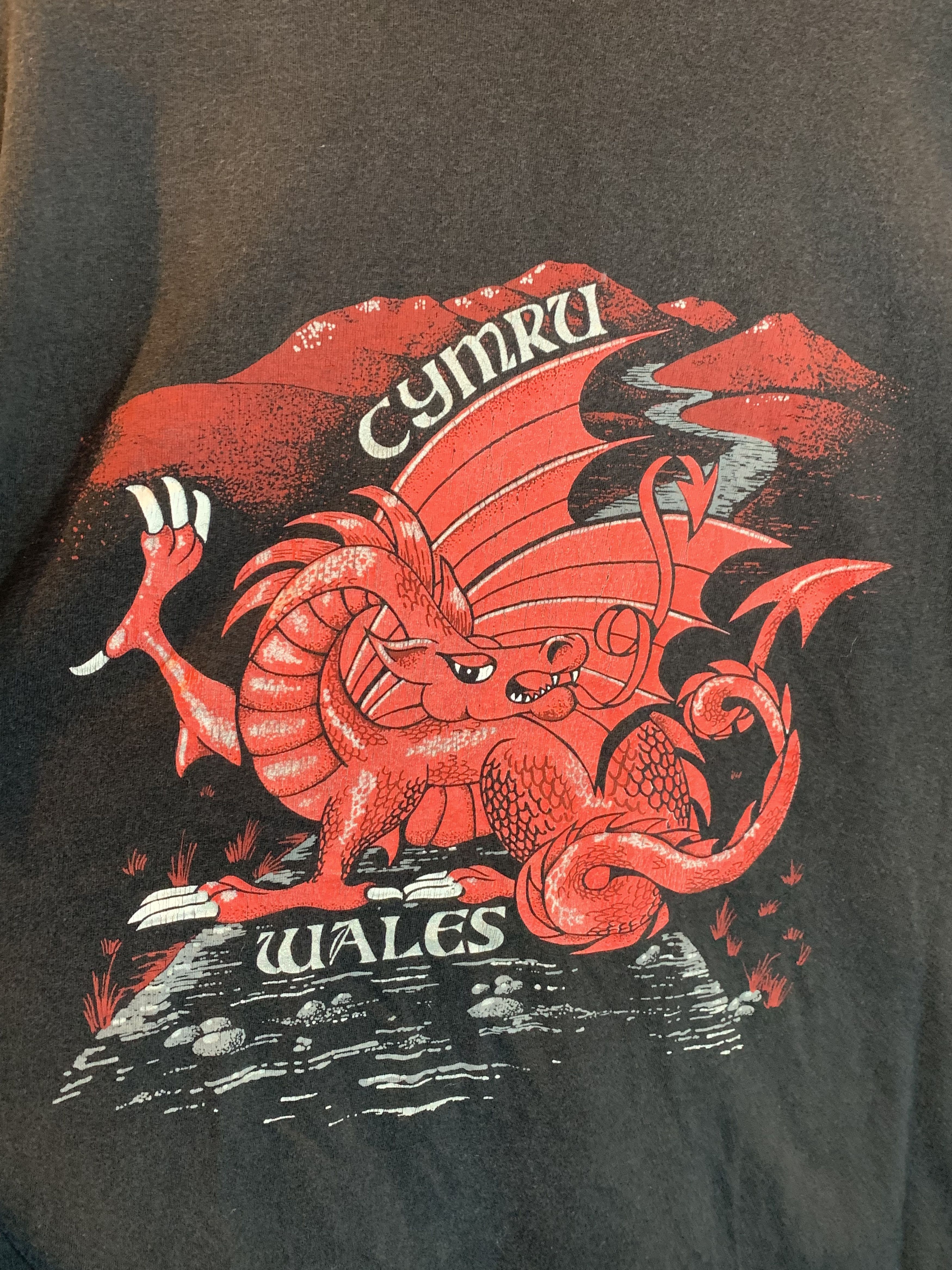 Vintage *RARE* VTG 80s Wales Cymru Welsh Dragon Single Stitch Shirt Size US L / EU 52-54 / 3 - 2 Thumbnail