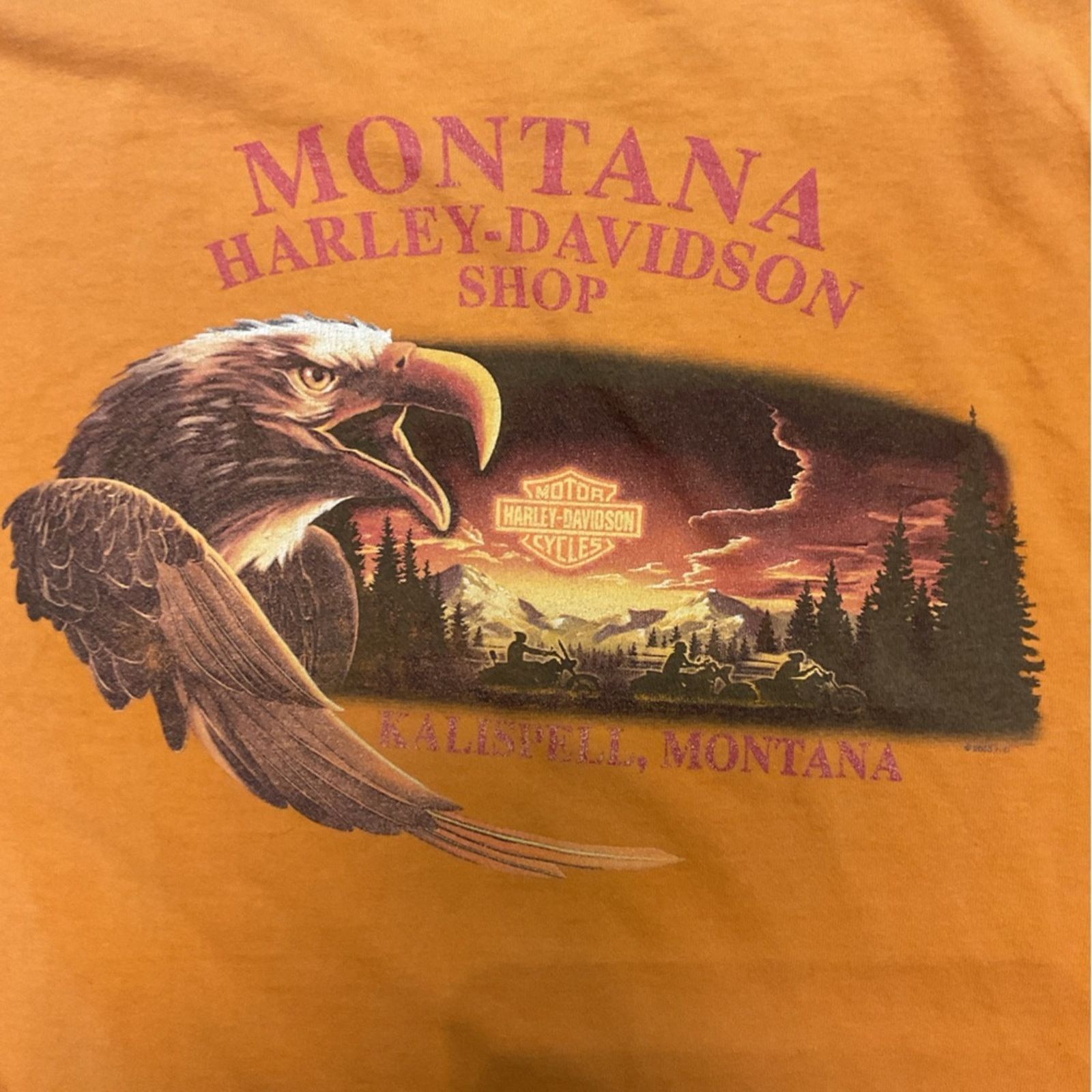 Harley Davidson 2000’s Harley-Davidson Kalispell, Montana Orange Graphic Tee Size US XL / EU 56 / 4 - 6 Thumbnail