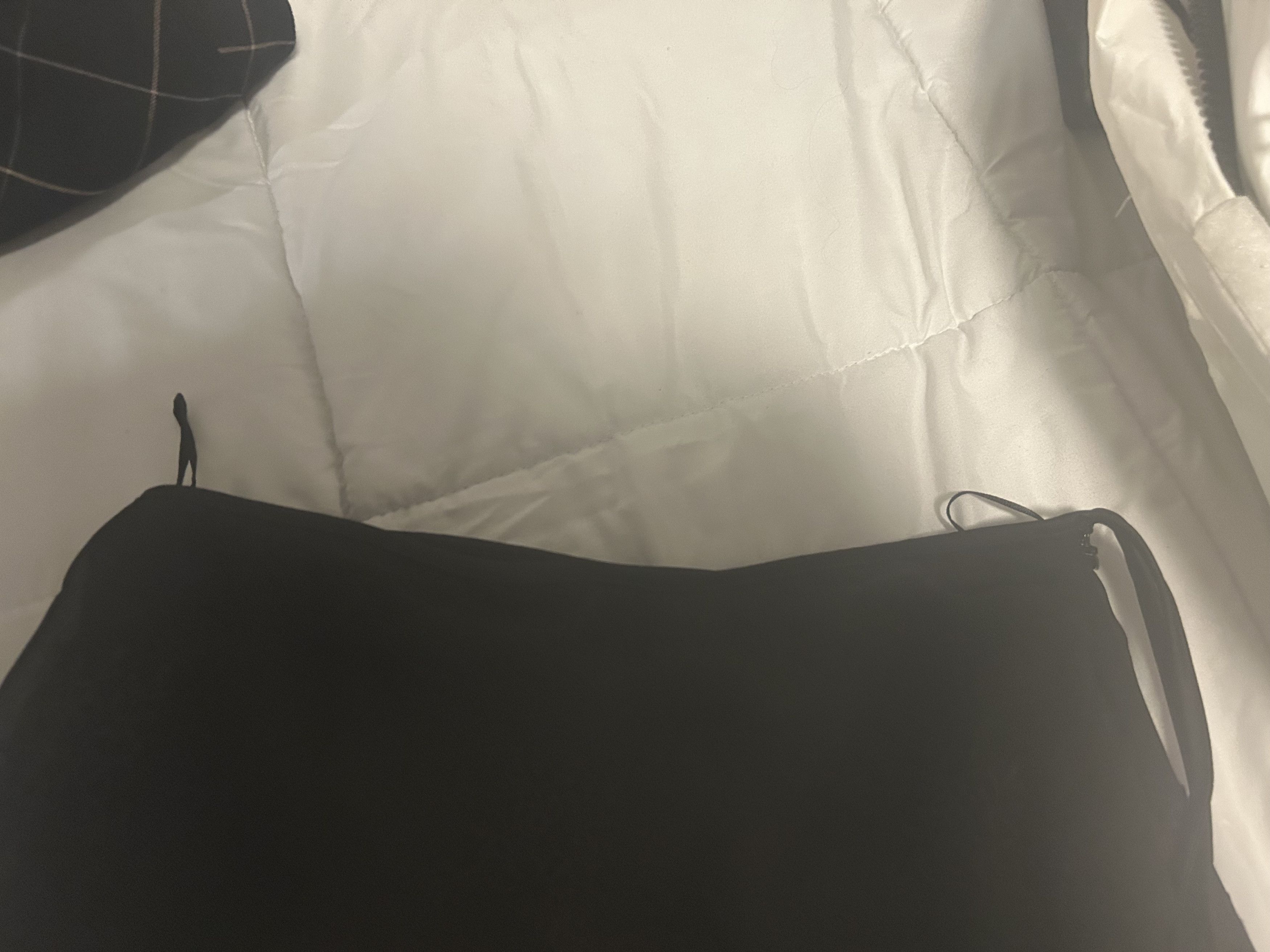 Zara Zara ZW COLLECTION EMBROIDERED see through MIDI SKIRT Size 27" / US 4 / IT 40 - 3 Thumbnail