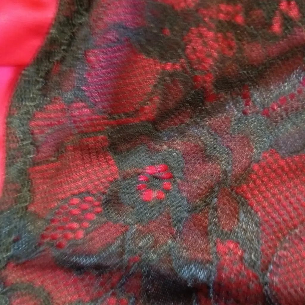 Other Secrets In Lace 3XL Crimson Corset Bralette — Rare Archive Size 3XL / US 20-22 - 9 Thumbnail