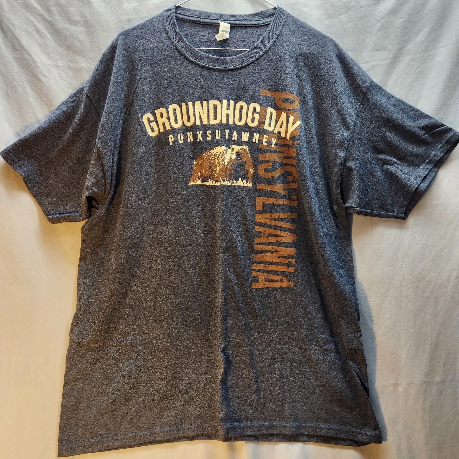 Jerzees Groundhog Day Pennsylvania Tshirt Size XL Size US XL / EU 56 / 4 - 1 Thumbnail