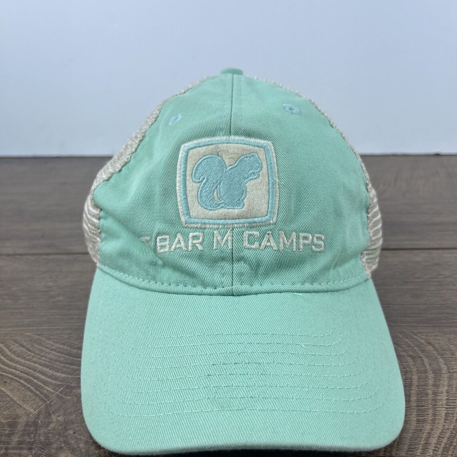 Other T Bar M Camps Hat Adjustable Hat Teal Blue Adjustable Hat Ad Size ONE SIZE - 3 Thumbnail