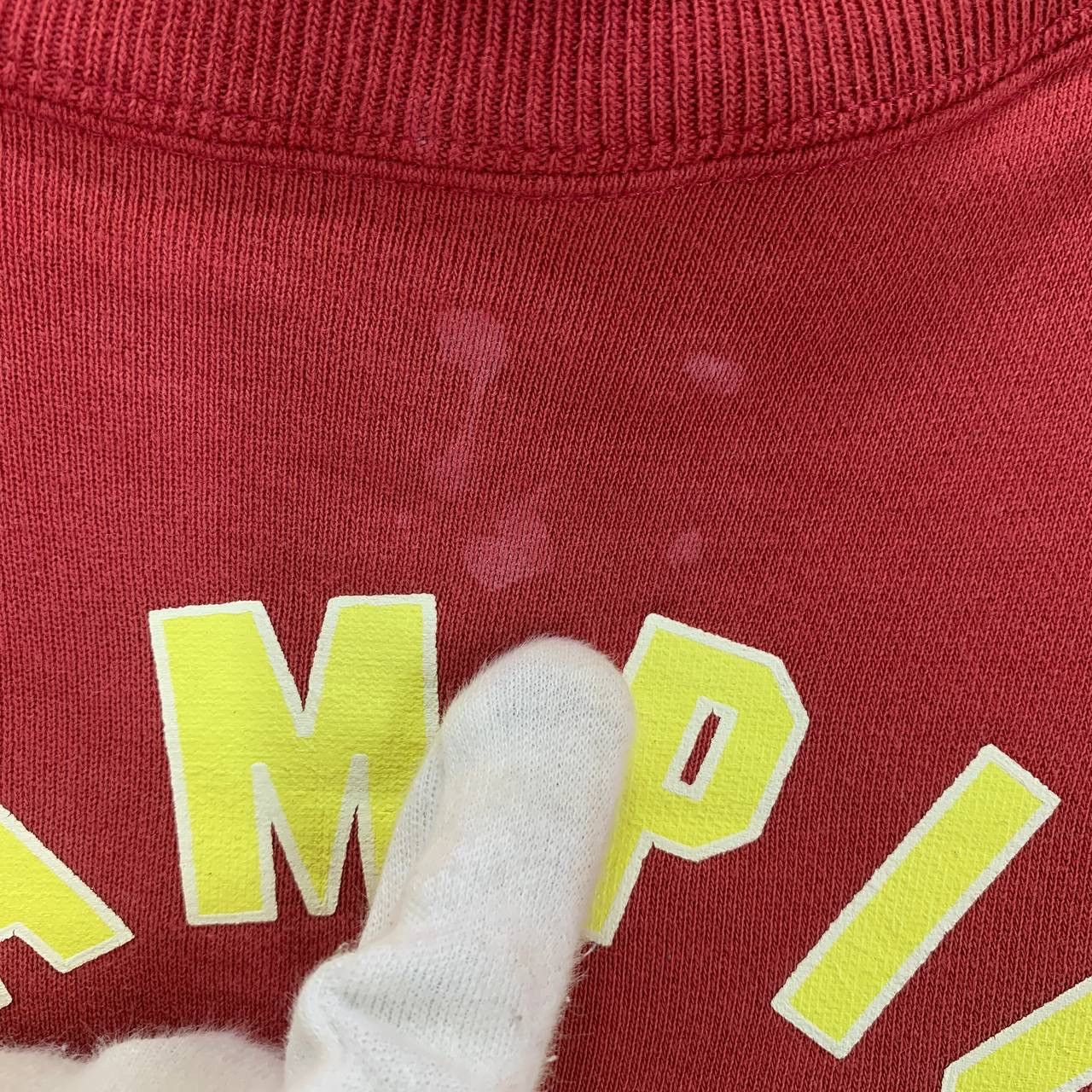 Champion CHAMPION PRODUCTS ROCHESTER Sweatshirt #2084/16 Size US L / EU 52-54 / 3 - 3 Thumbnail