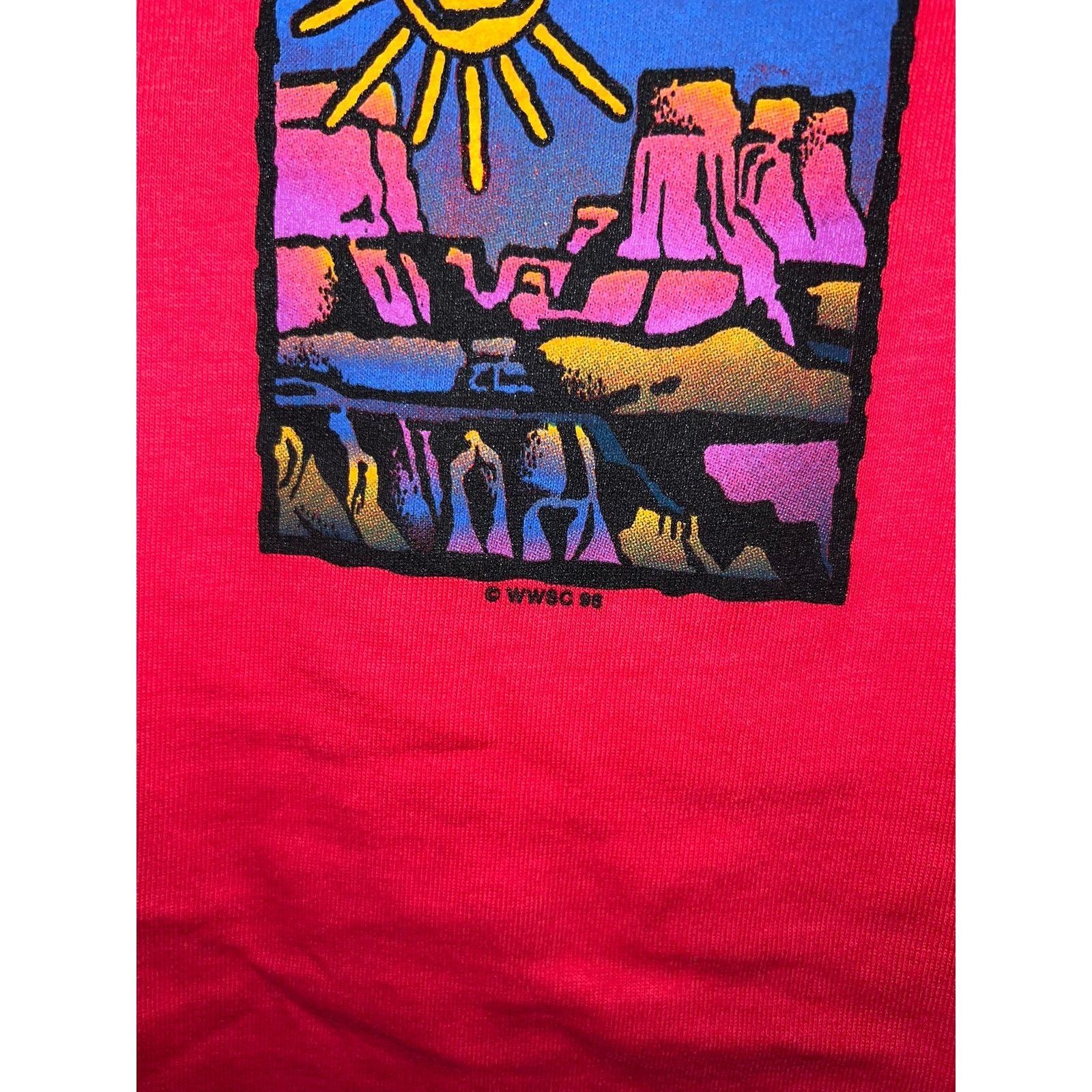 Jerzees Vintage New Mexico Desert Shirt Art Red Tee VTG 90s Large Size US L / EU 52-54 / 3 - 4 Thumbnail