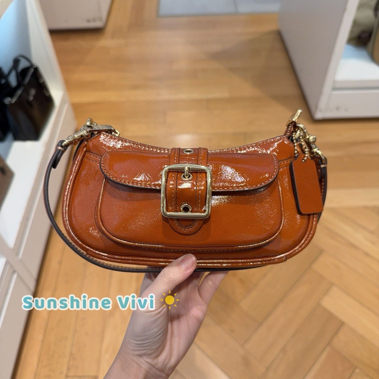 Coach NWT Coach Ashton Mini Shoulder Bag CDB19 Cinnamon Size ONE SIZE - 1 Thumbnail