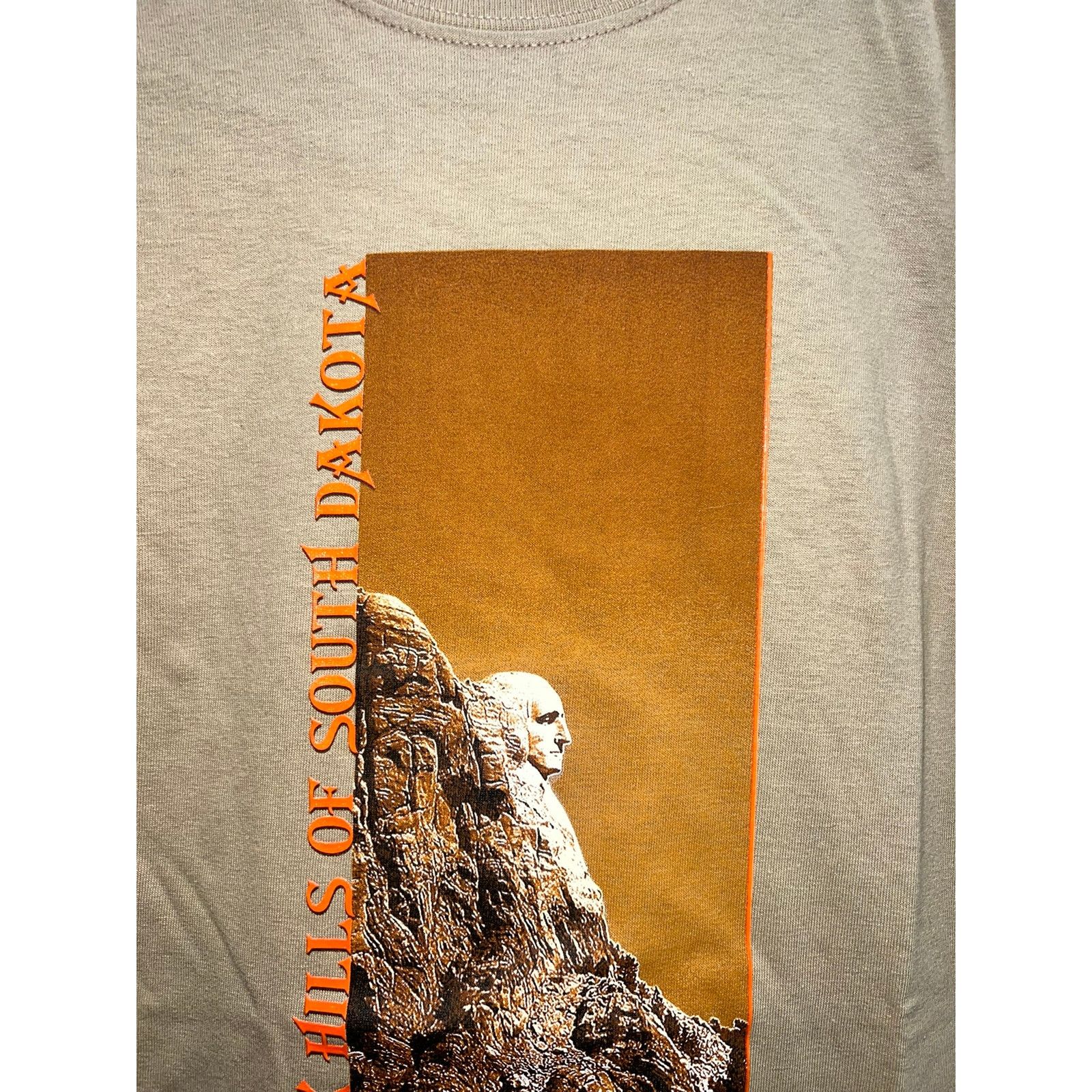 Gildan Vintage Black Hills South Dakota Shirt Brown Tee VTG M Size US M / EU 48-50 / 2 - 3 Thumbnail