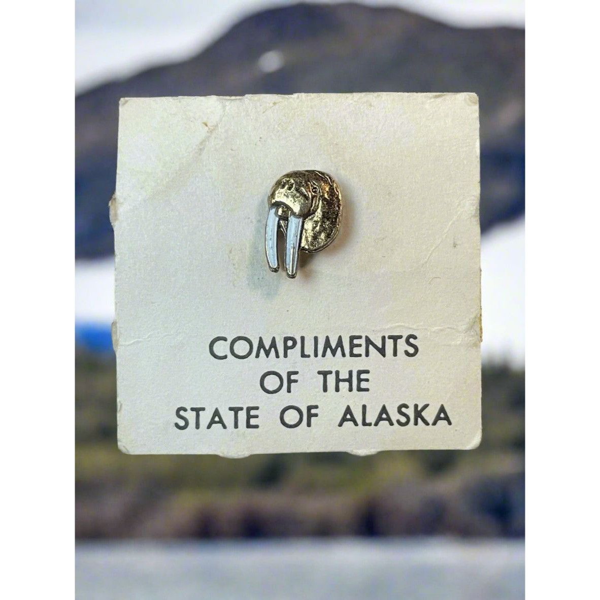 Vintage Vintage Gold Tone Walrus Head Alaska Souvenir Brooch Pin Size ONE SIZE - 1 Thumbnail