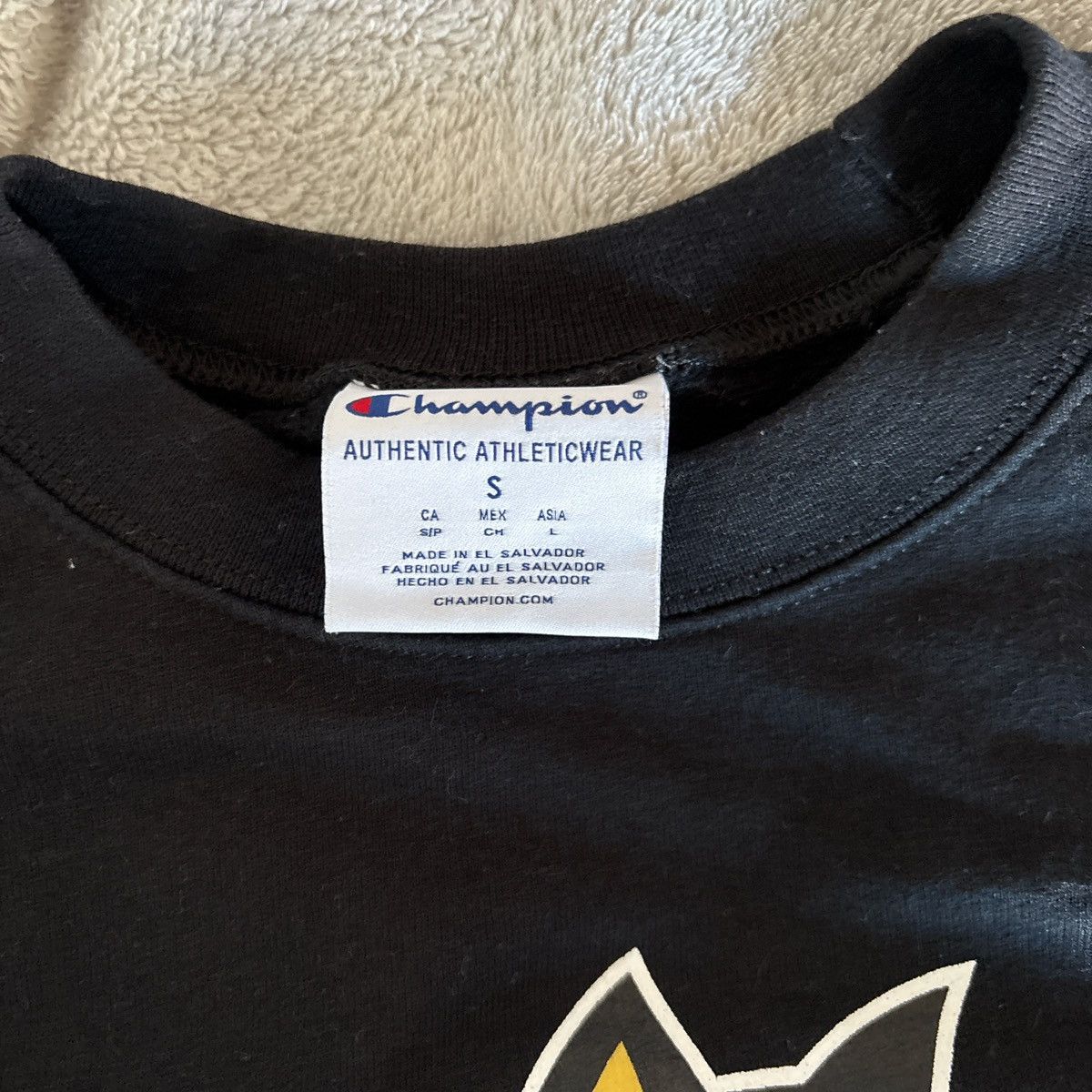 Champion Wright State Crewneck Size US S / EU 44-46 / 1 - 3 Thumbnail