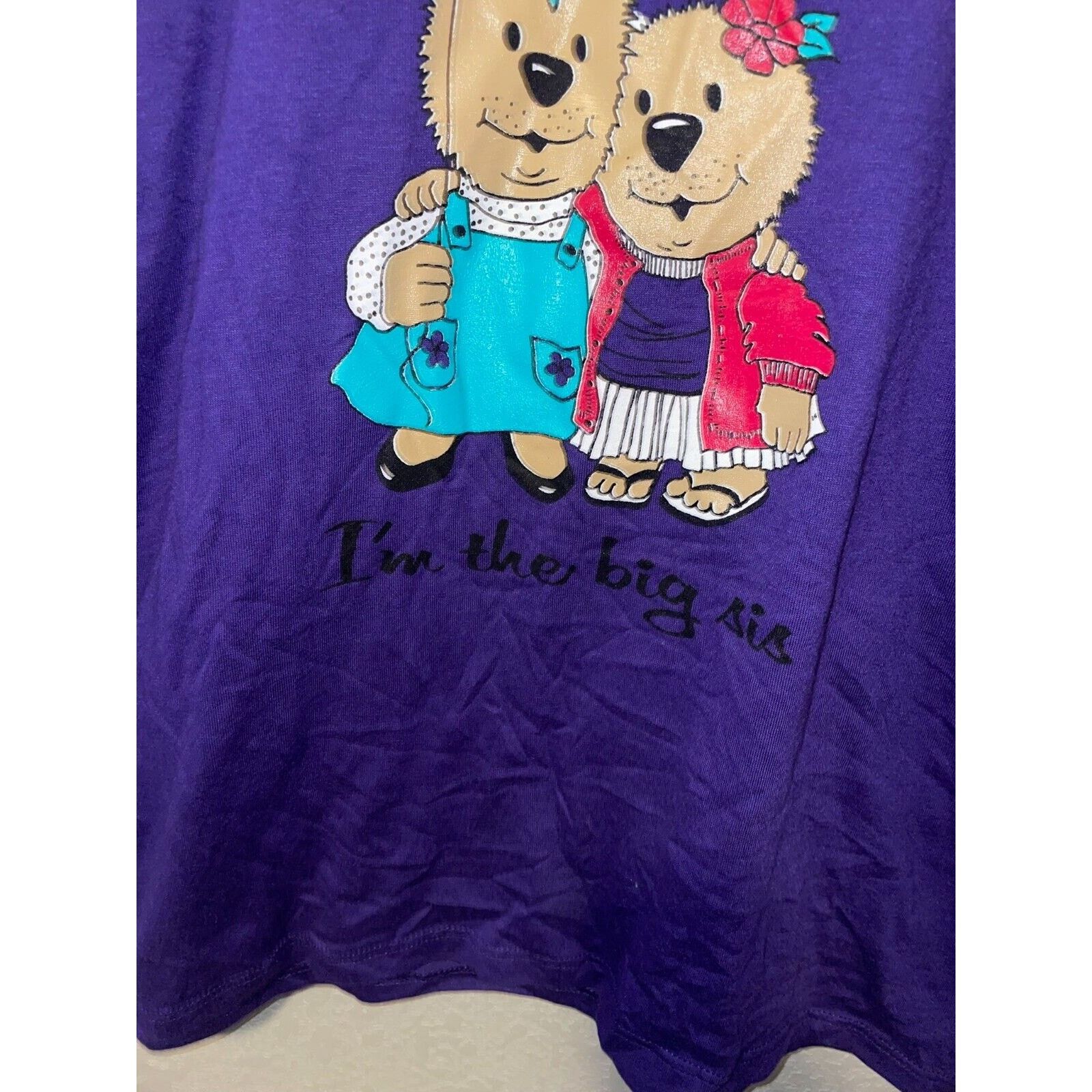 Jerzees Vintage Big Sister Shirt Tee I'm The Sis College Bears 1980s Size US L / EU 52-54 / 3 - 5 Thumbnail