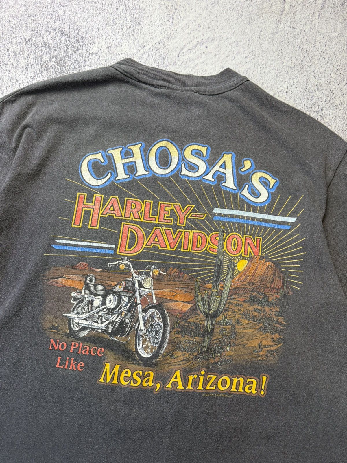 Harley Davidson Vintage Harley Davidson 1993 USA Chosa’s Mesa Arizona Y2K Size US L / EU 52-54 / 3 - 21 Thumbnail