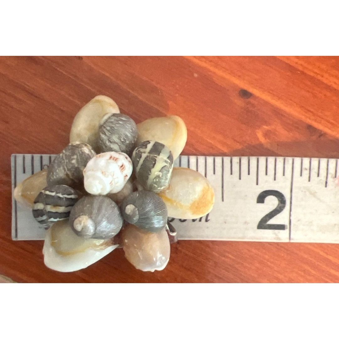 Other Vintage Cowrie Shell Cluster Clip On Earrings Estate Vacatio Size ONE SIZE - 5 Thumbnail
