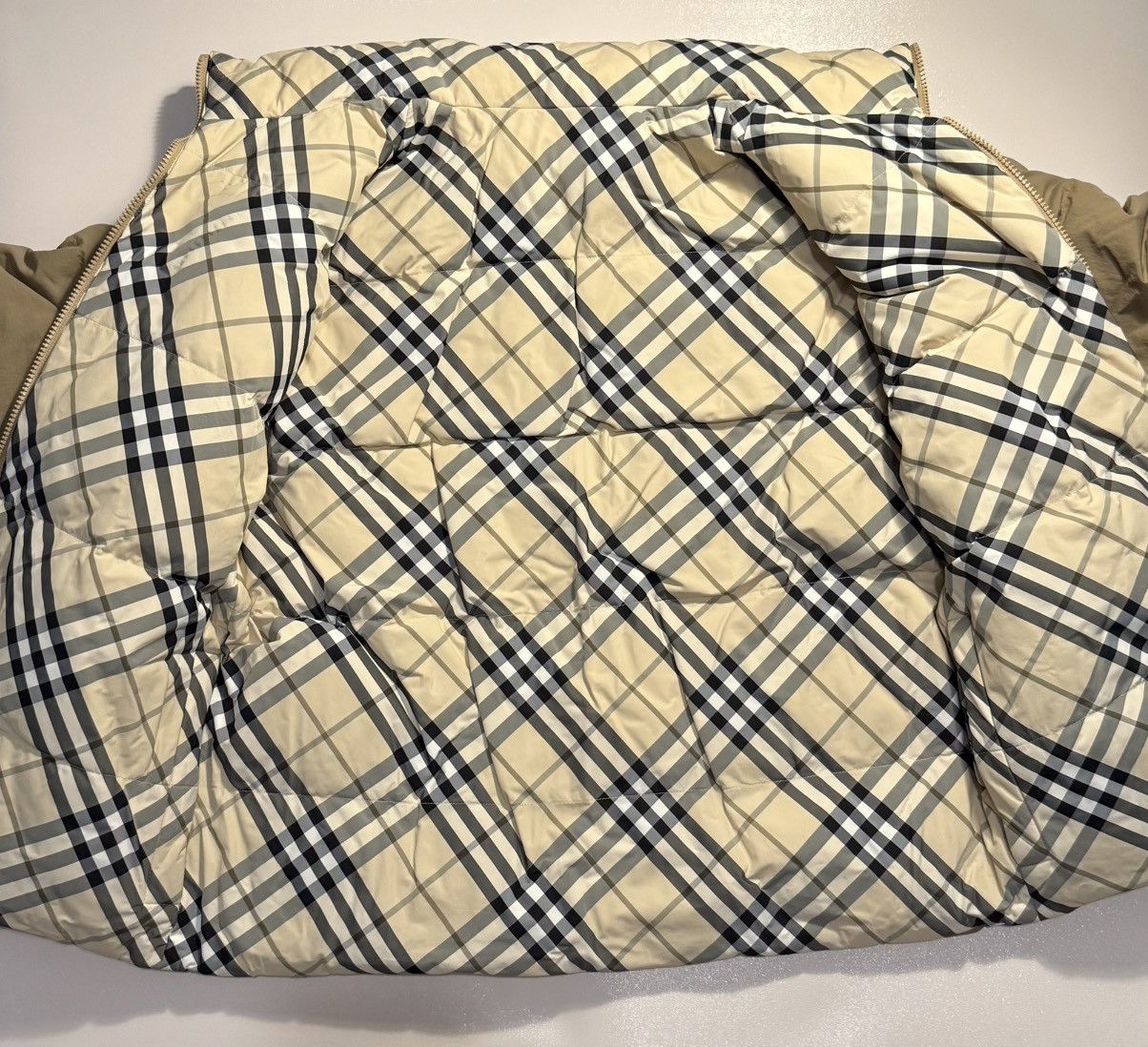 Burberry Burberry Greylag Goose 90% Down Cluster Hooded Puffer Jacket Size US M / EU 48-50 / 2 - 3 Thumbnail