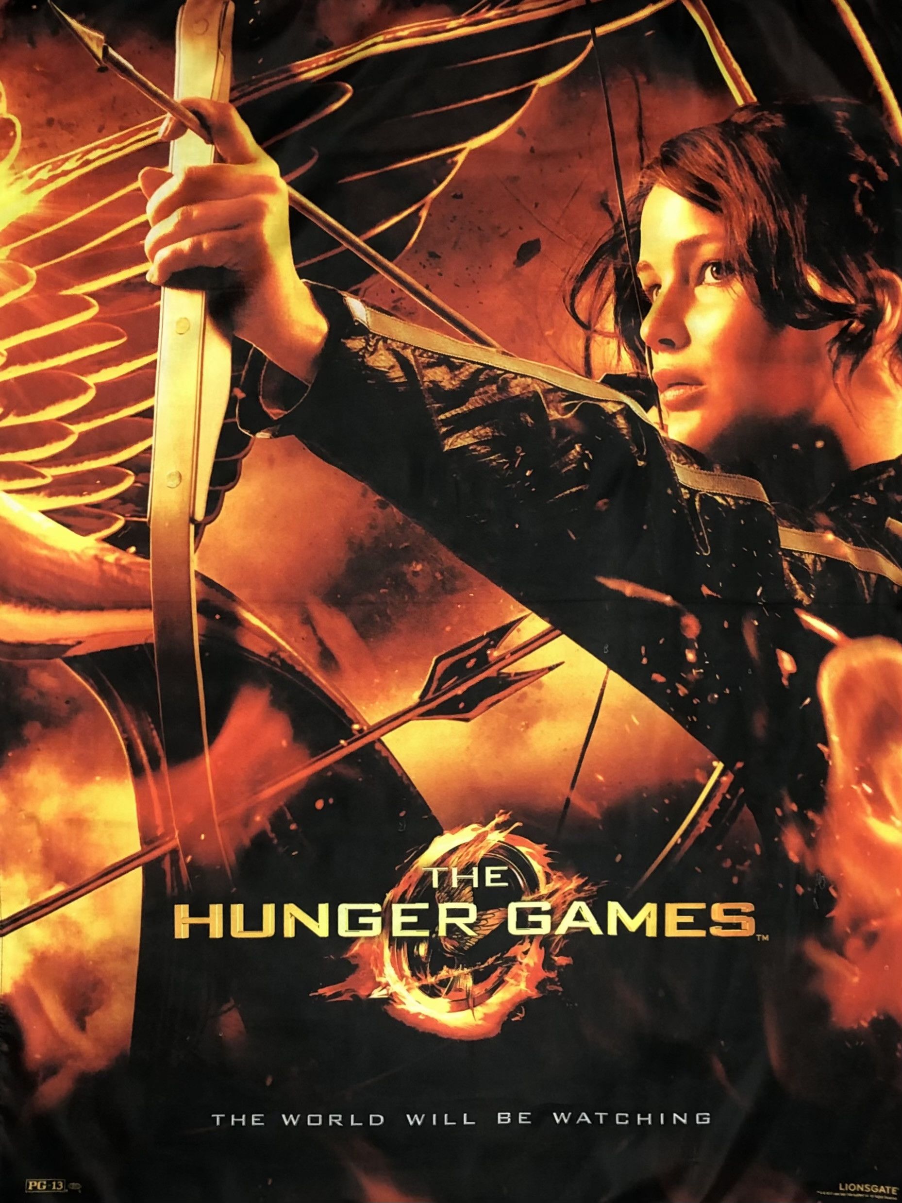Expert Horror 2012 Hunger Games Dystopian Flag Poster Size ONE SIZE - 1 Thumbnail