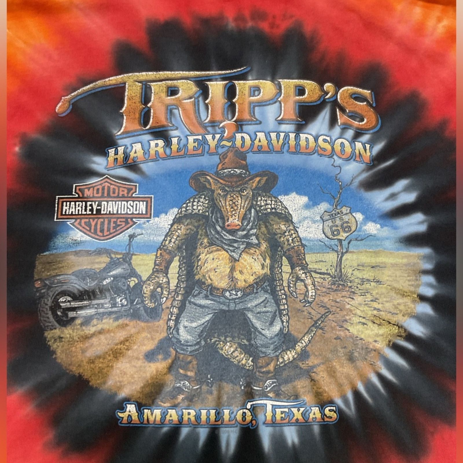 Harley Davidson Vintage Harley Davidson Armadillo Texas Graphic T-Shirt Size US L / EU 52-54 / 3 - 3 Thumbnail