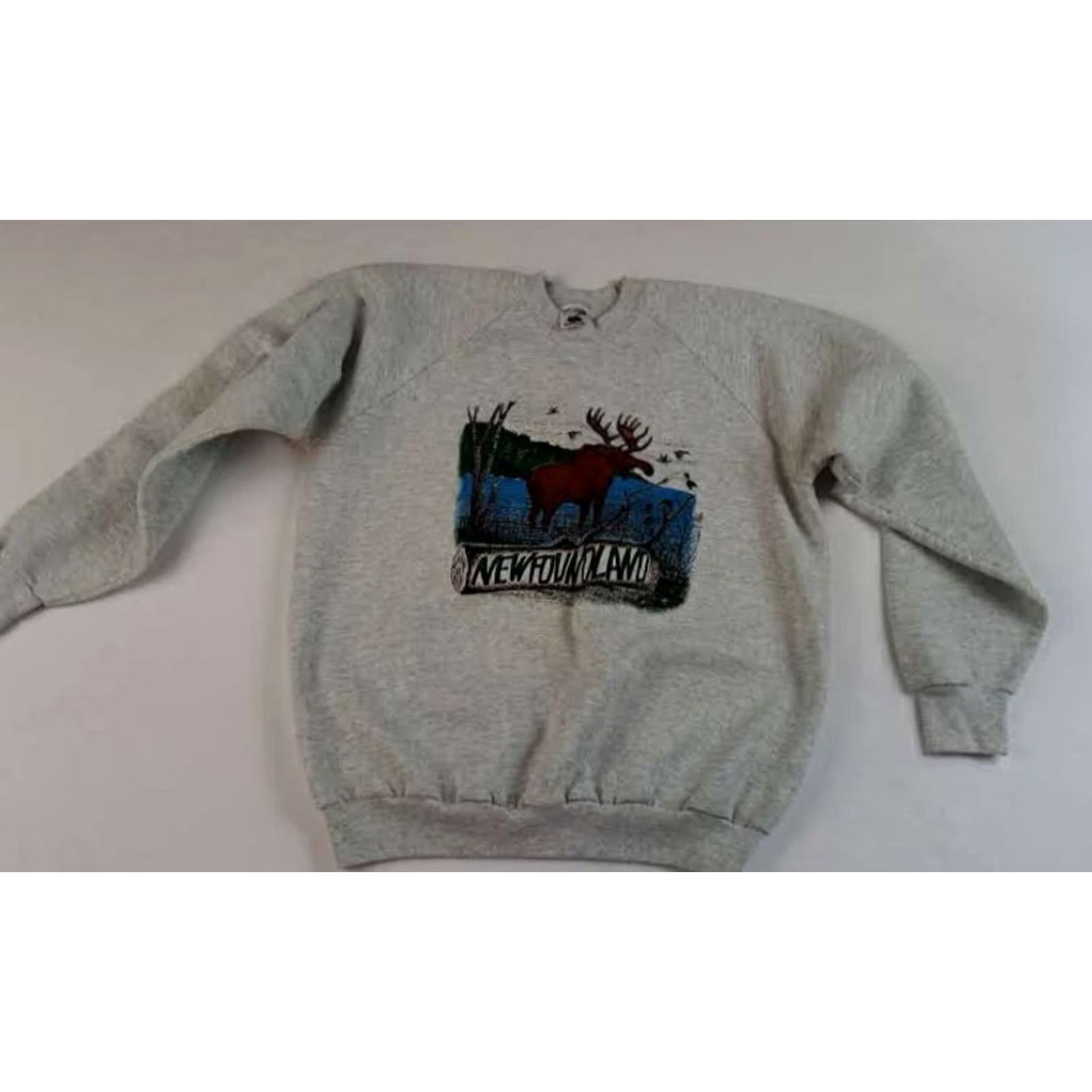 Fruit Of The Loom VINTAGE Newfoundland Outdoor Moose Print Sweatshirt XL Gray Fruit of the Loom Men Sweatshirt Size US XL / EU 56 / 4 - 2 Thumbnail