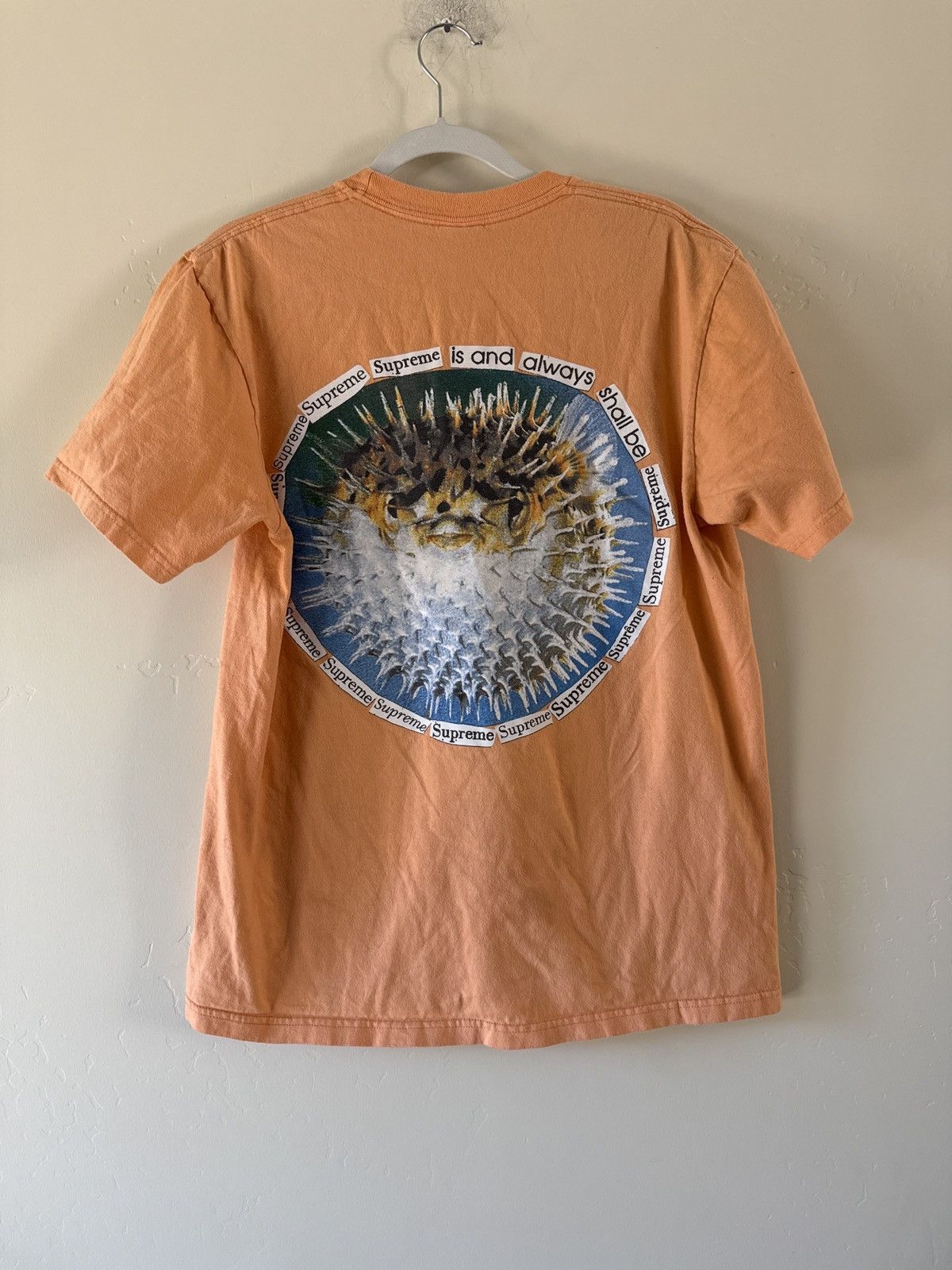 Supreme Supreme Prickly Pear Tee Size US S / EU 44-46 / 1 - 2 Thumbnail