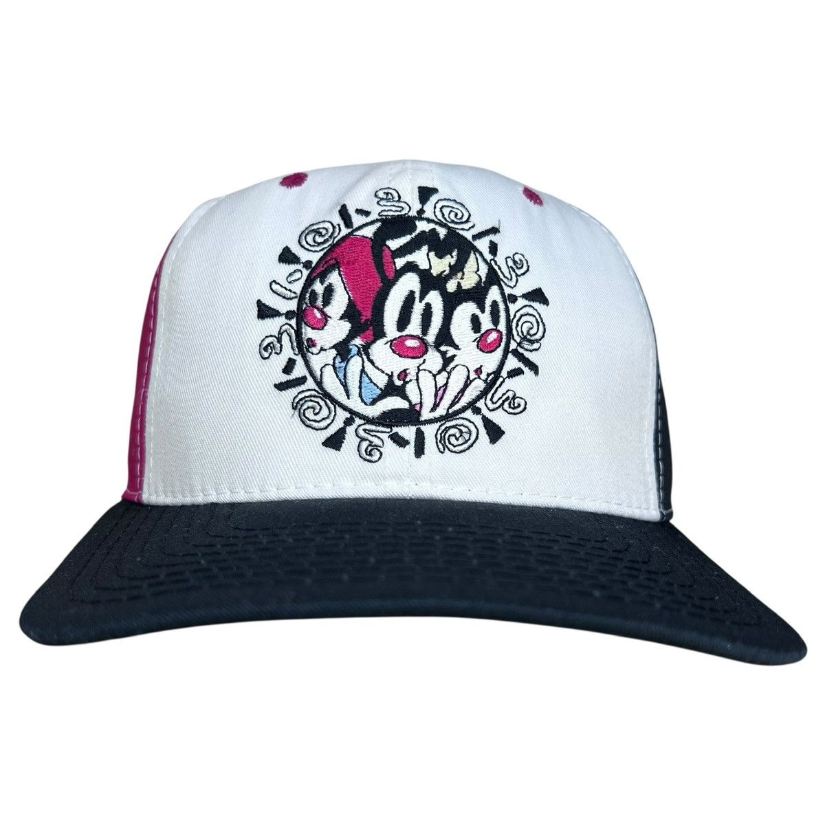 Warner Bros 1993 Animaniacs Warner Bros Color Block Embroidered Snapback Size ONE SIZE - 1 Thumbnail
