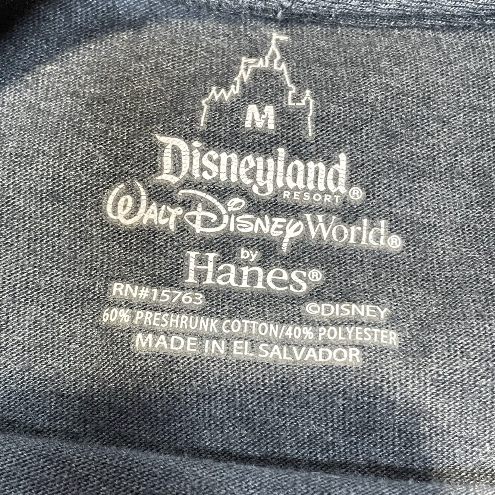 Hanes VINTAGE Hanes T-Shirt Men Medium Gray Cotton Blend Short Sleeve Disneyland “Genius By Birth Grumpy By Choice” Size US M / EU 48-50 / 2 - 3 Thumbnail