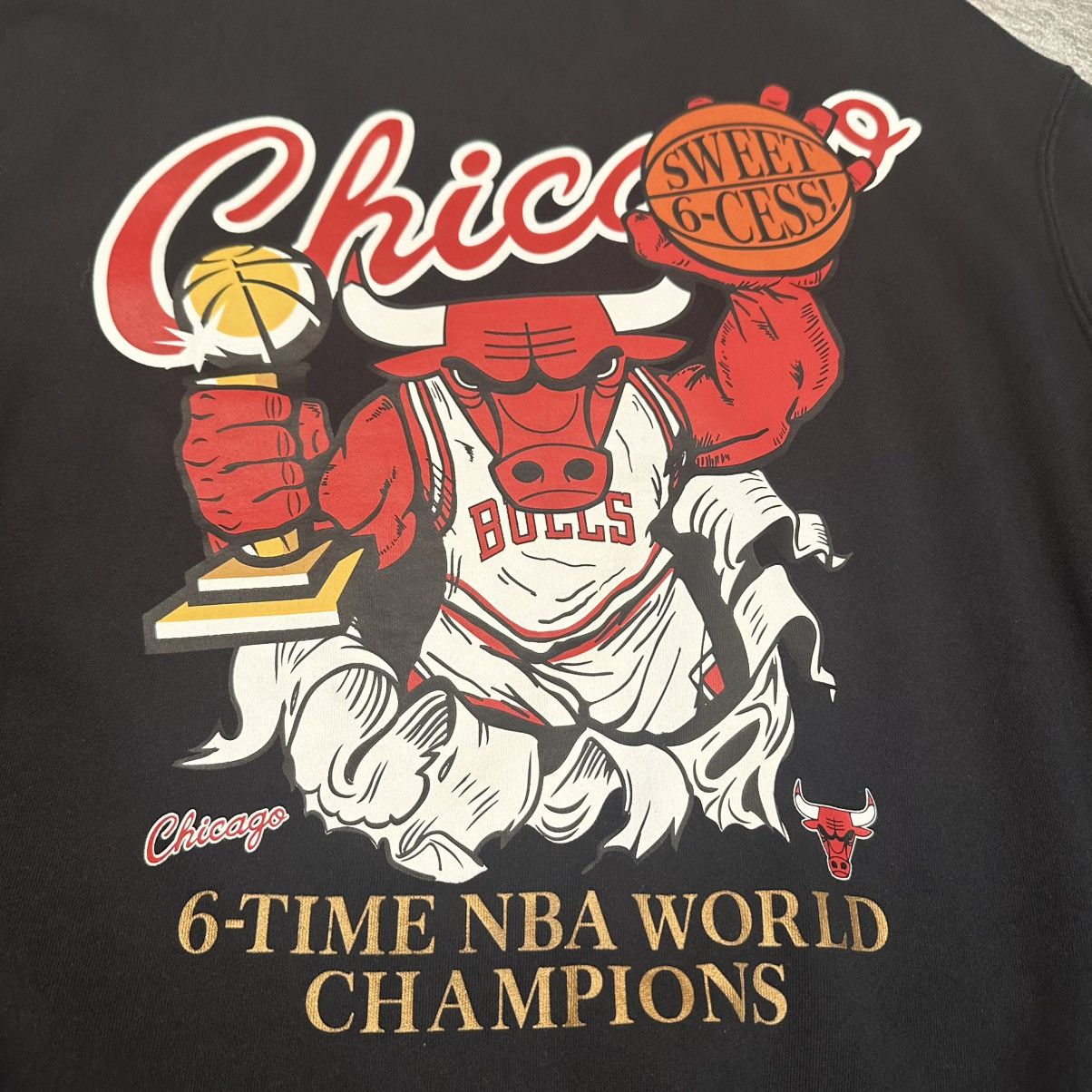 Mitchell & Ness × NBA Mitchell & Ness Hardwood Classics Chicago Bulls Sweatshirt Size US L / EU 52-54 / 3 - 11 Thumbnail