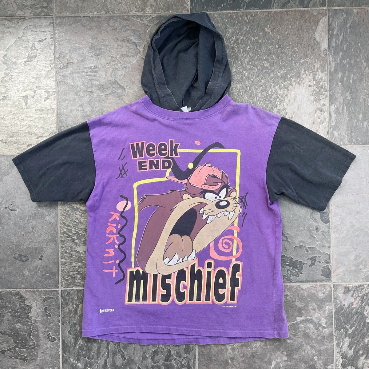 Warner Bros Vintage 1993 Tasmanian Devil hooded t-shirt Size US L / EU 52-54 / 3 - 1 Thumbnail