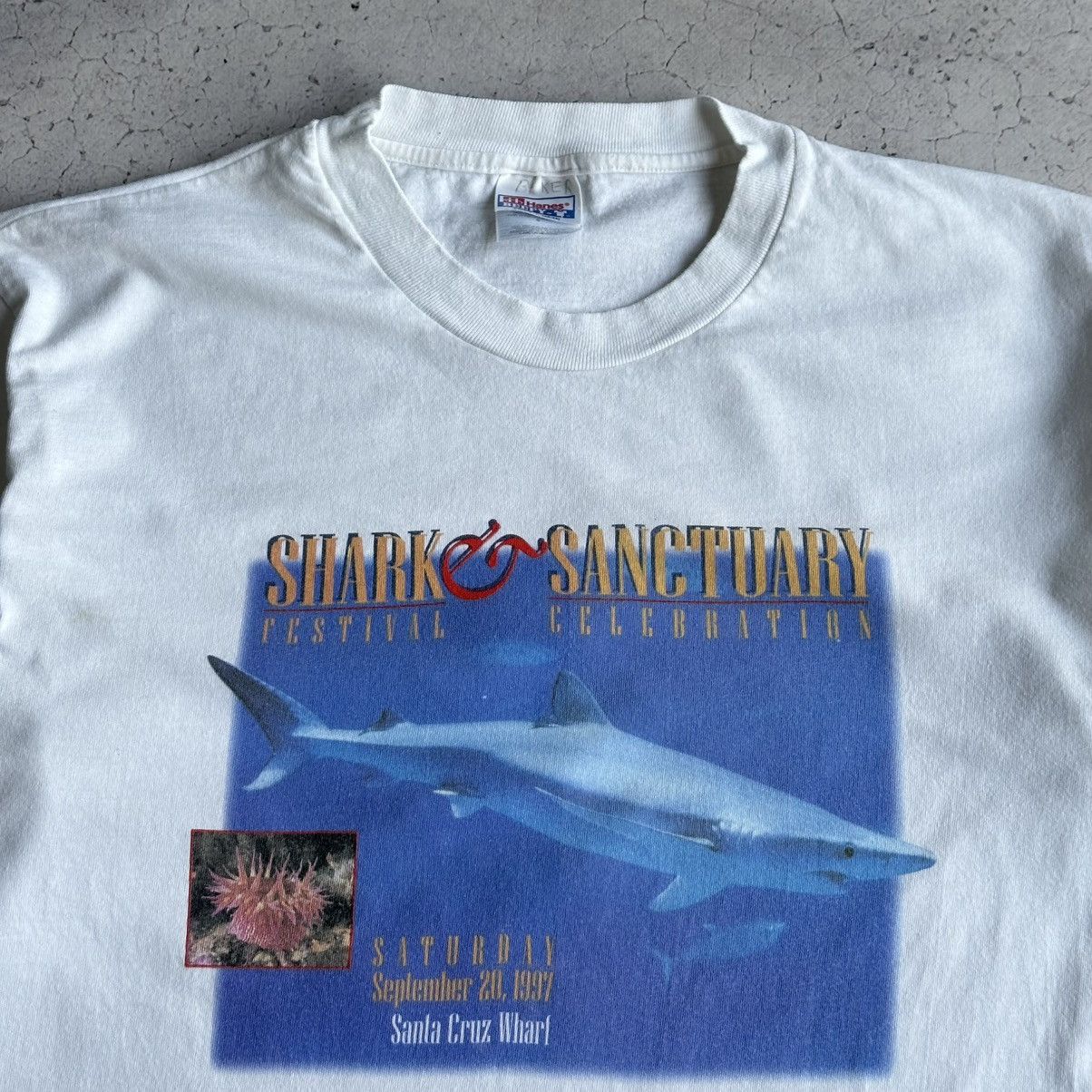 Hanes Vintage 1997 Shark Sanctuary Festival Promo Tee Size US L / EU 52-54 / 3 - 2 Thumbnail