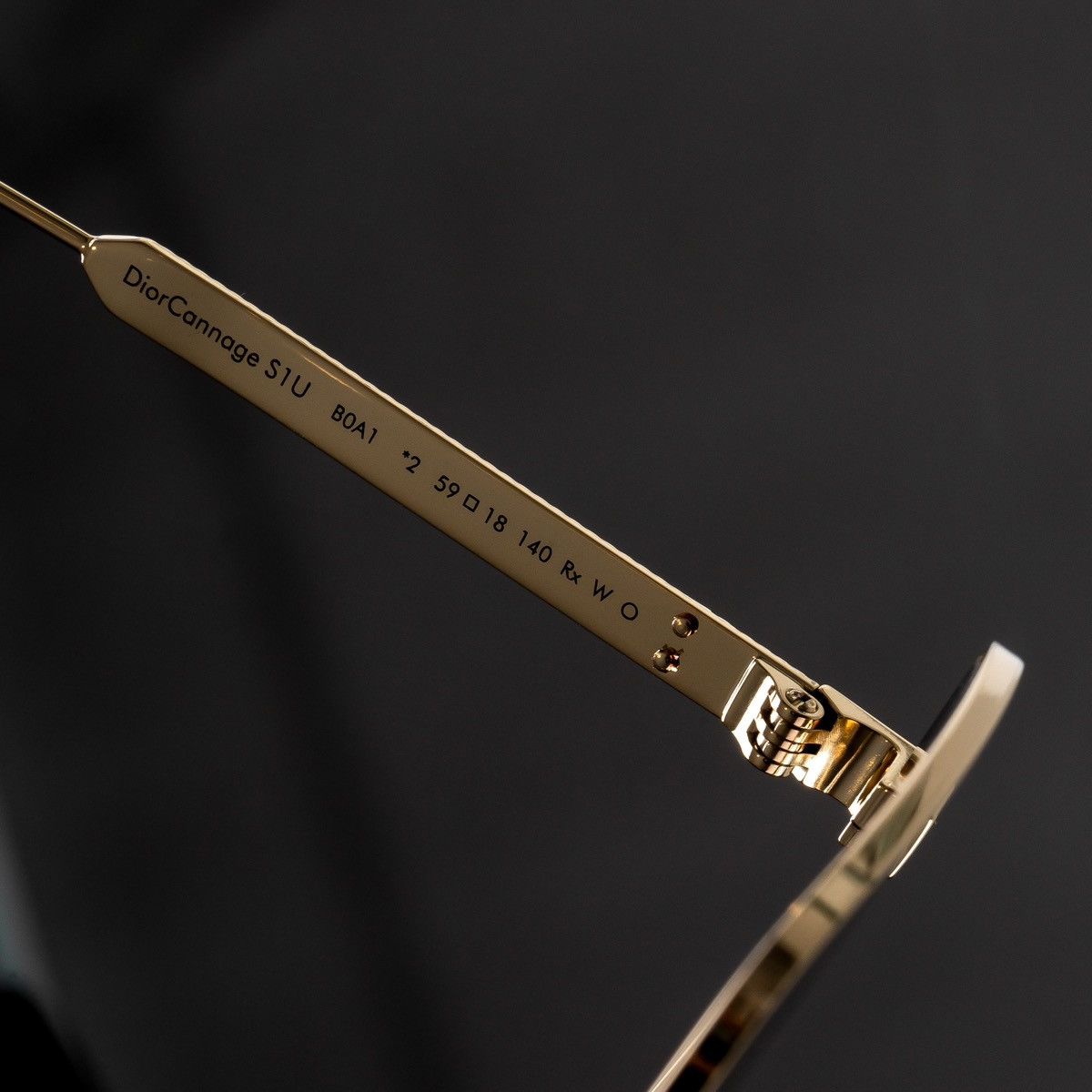 Dior DIORCANNAGE S1U B0A1 SUNGLASSES Size ONE SIZE - 5 Thumbnail