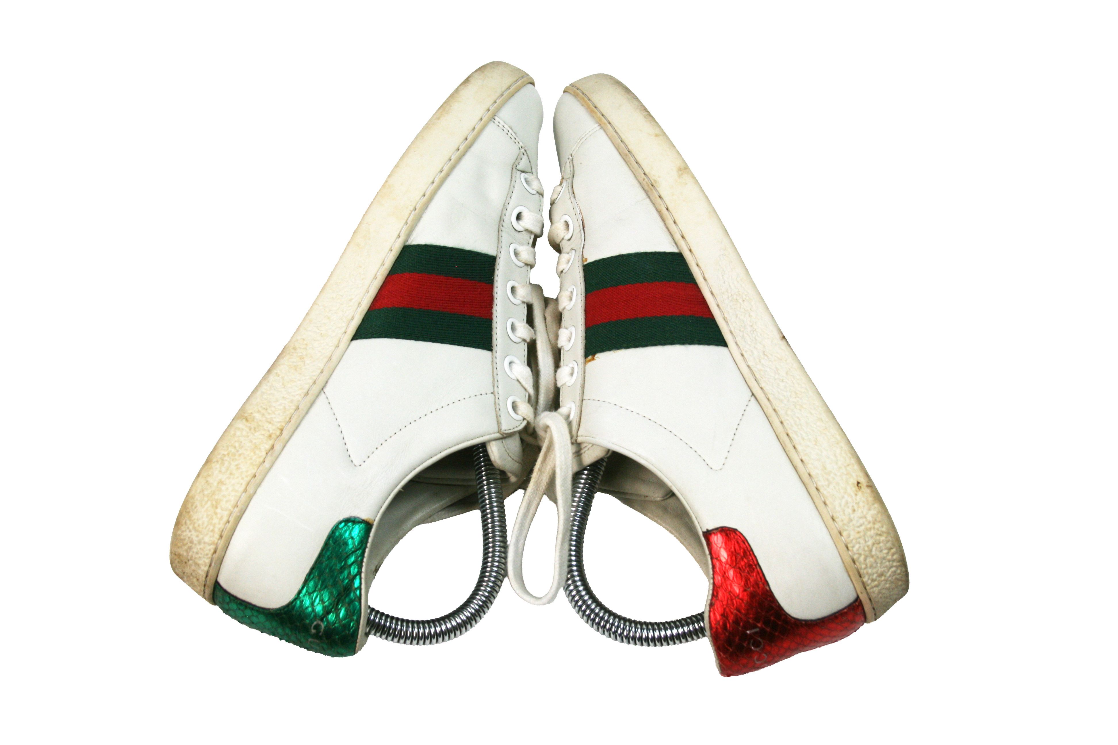 Ace Bee Embroidered Leather Low Sneakers