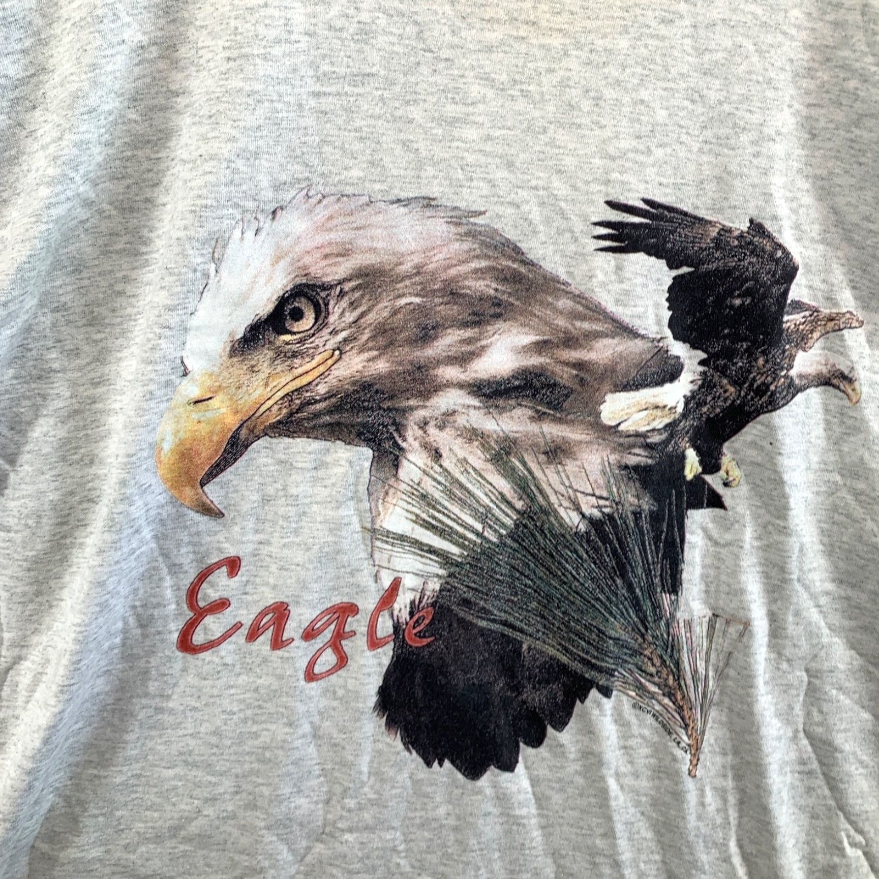 Fruit Of The Loom Vintage 90s Bald Eagle Shirt Adult XL Fits 23X28 Single Stitch Gray Short Sleeve Size US XL / EU 56 / 4 - 7 Thumbnail