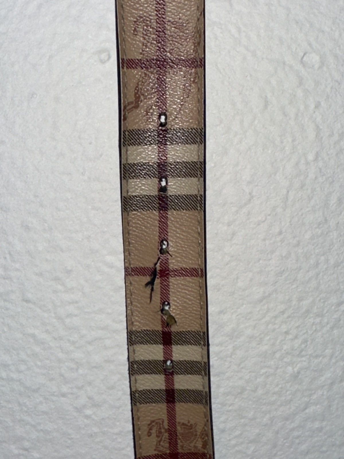 Burberry Burberry Tan Belt Size 30 - 5 Thumbnail
