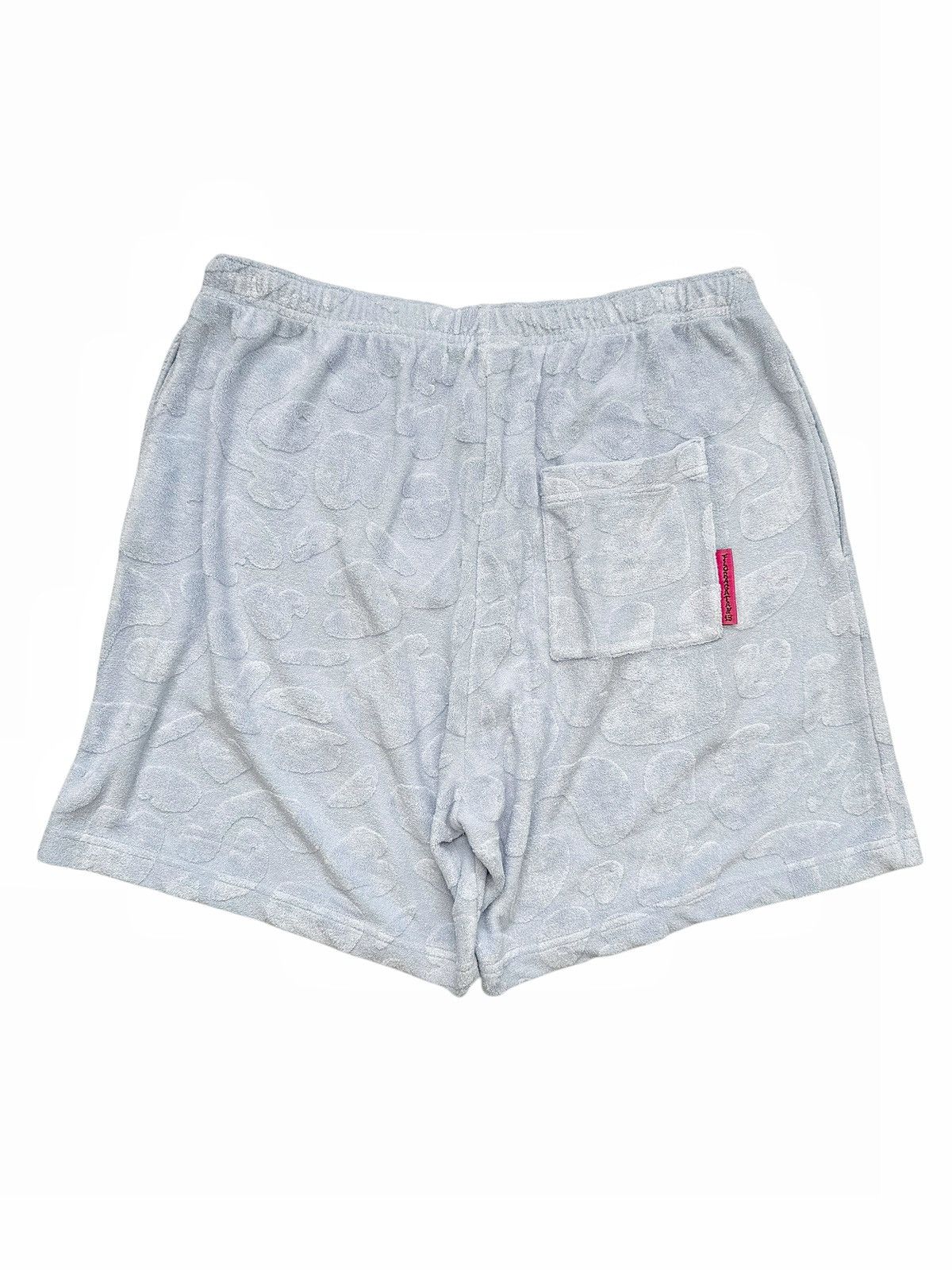 Acne Studios Floragatan 13 Velour Shorts Size US 30 / EU 46 - 2 Thumbnail